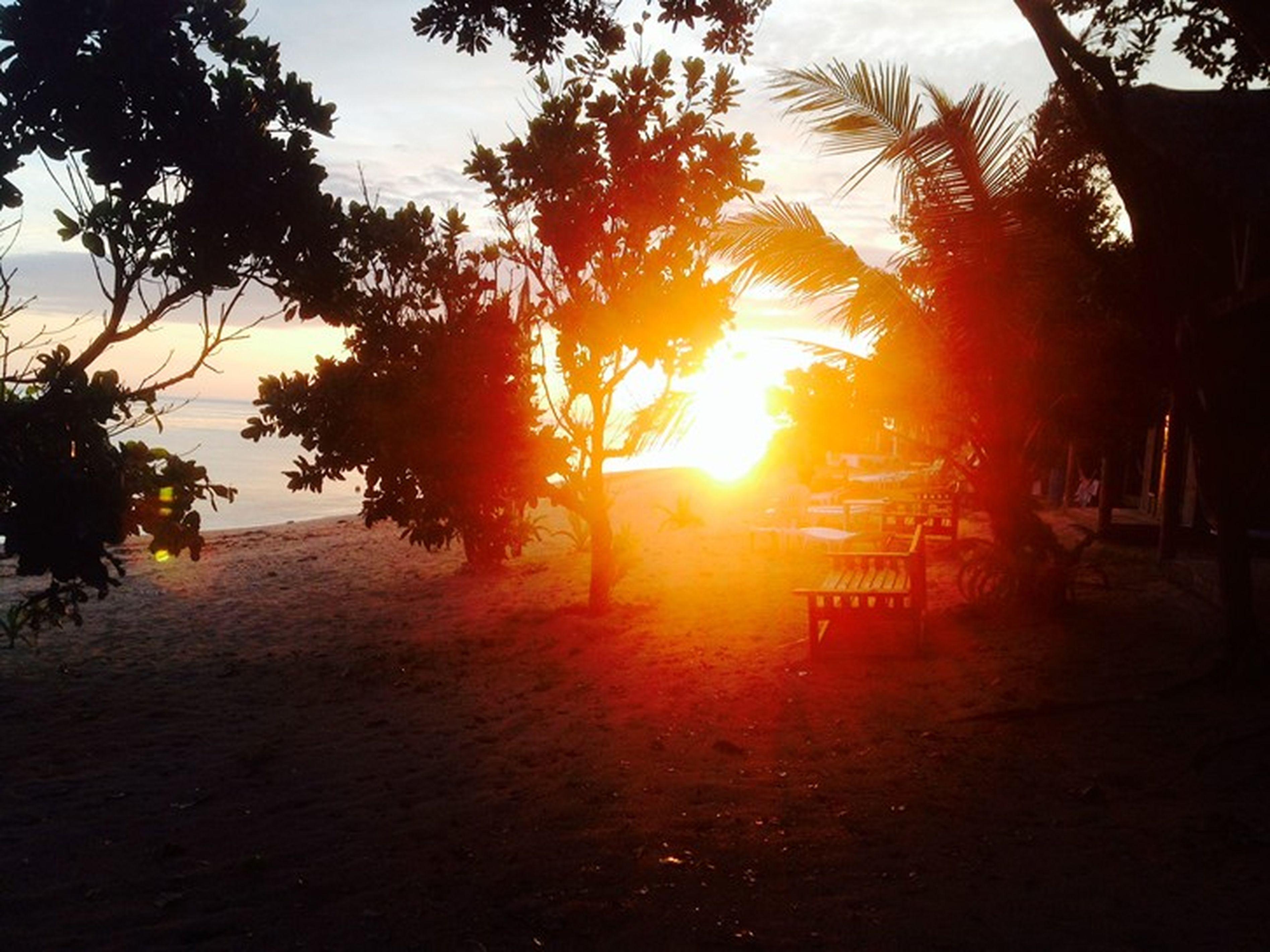 Kingfisher Sand Sea Surf Resort
