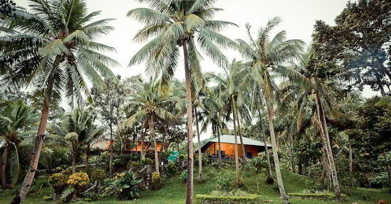Pannzian Resort
