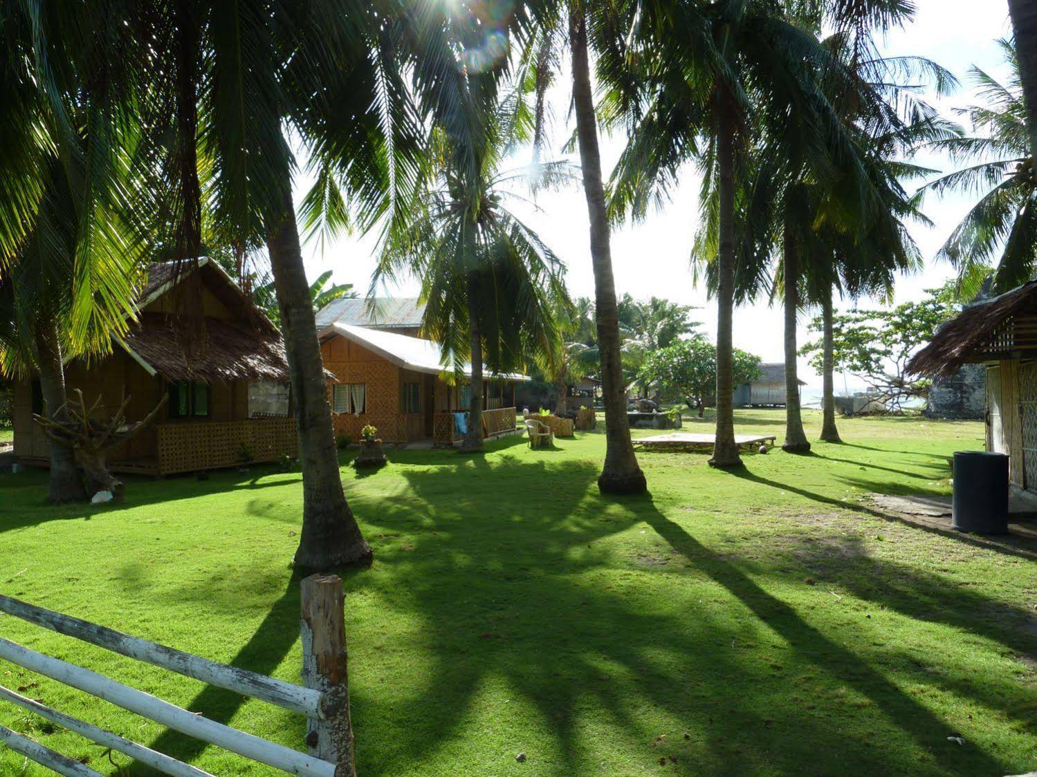 Junior & Nemesia’s Cottages