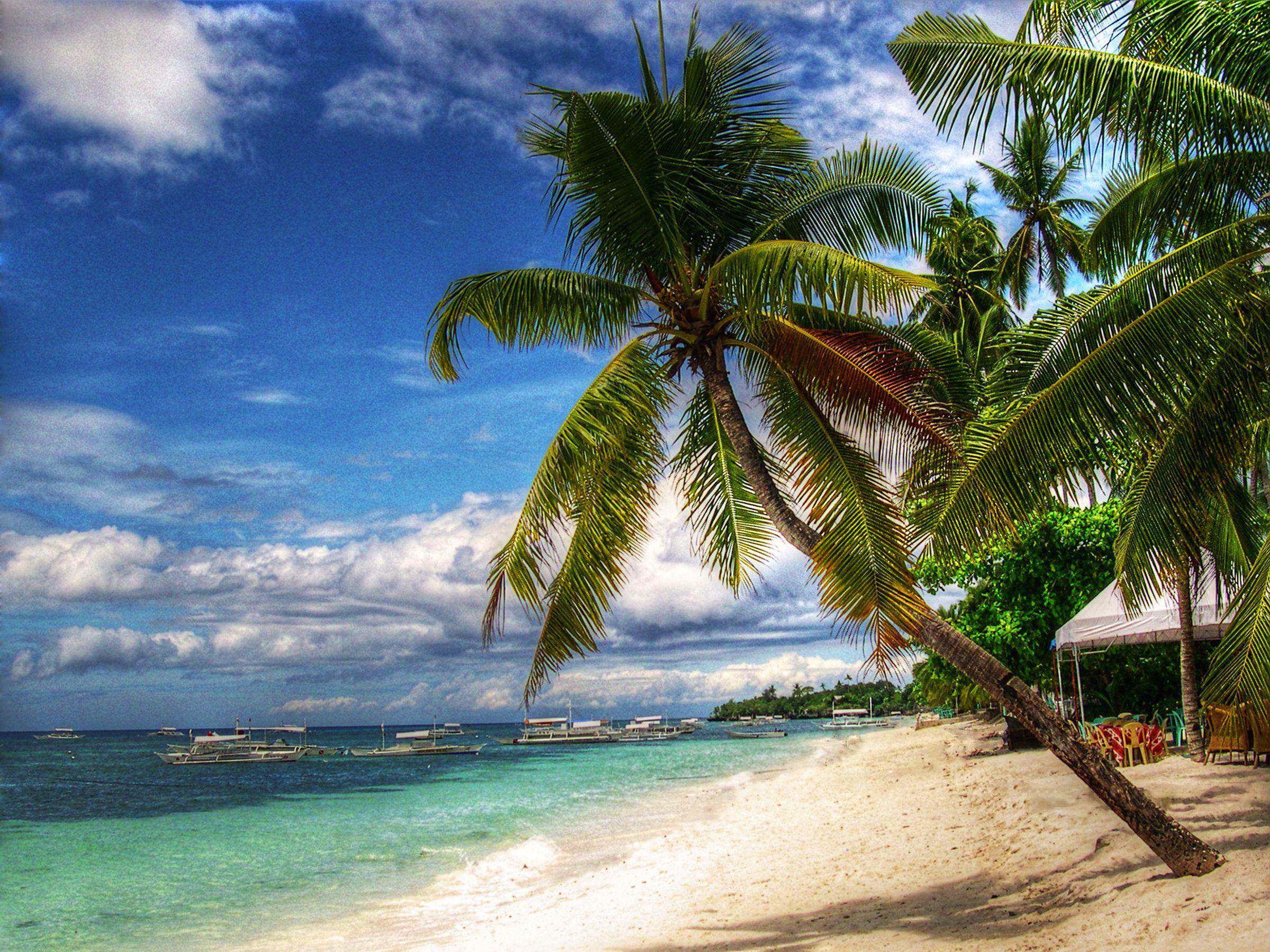 Alona Hidden Dream Resort by SMS Hospitality