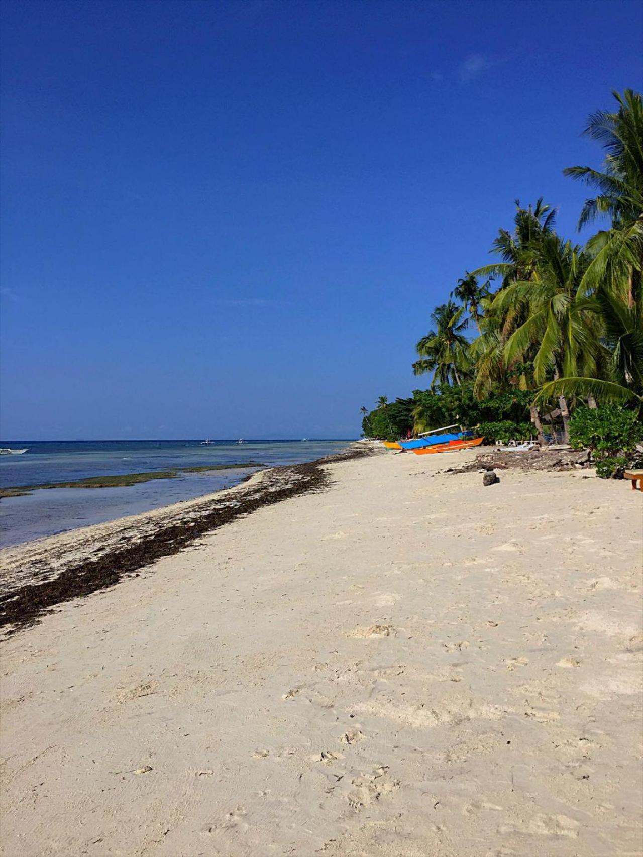 Bohol Coco Farm Hostel