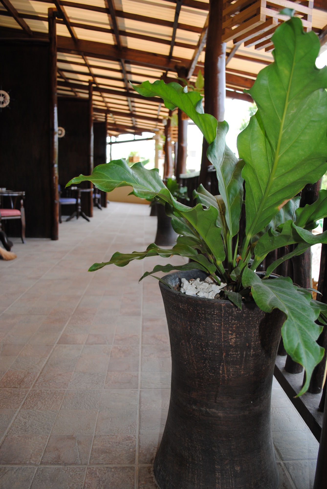Captains Lodge And Bar