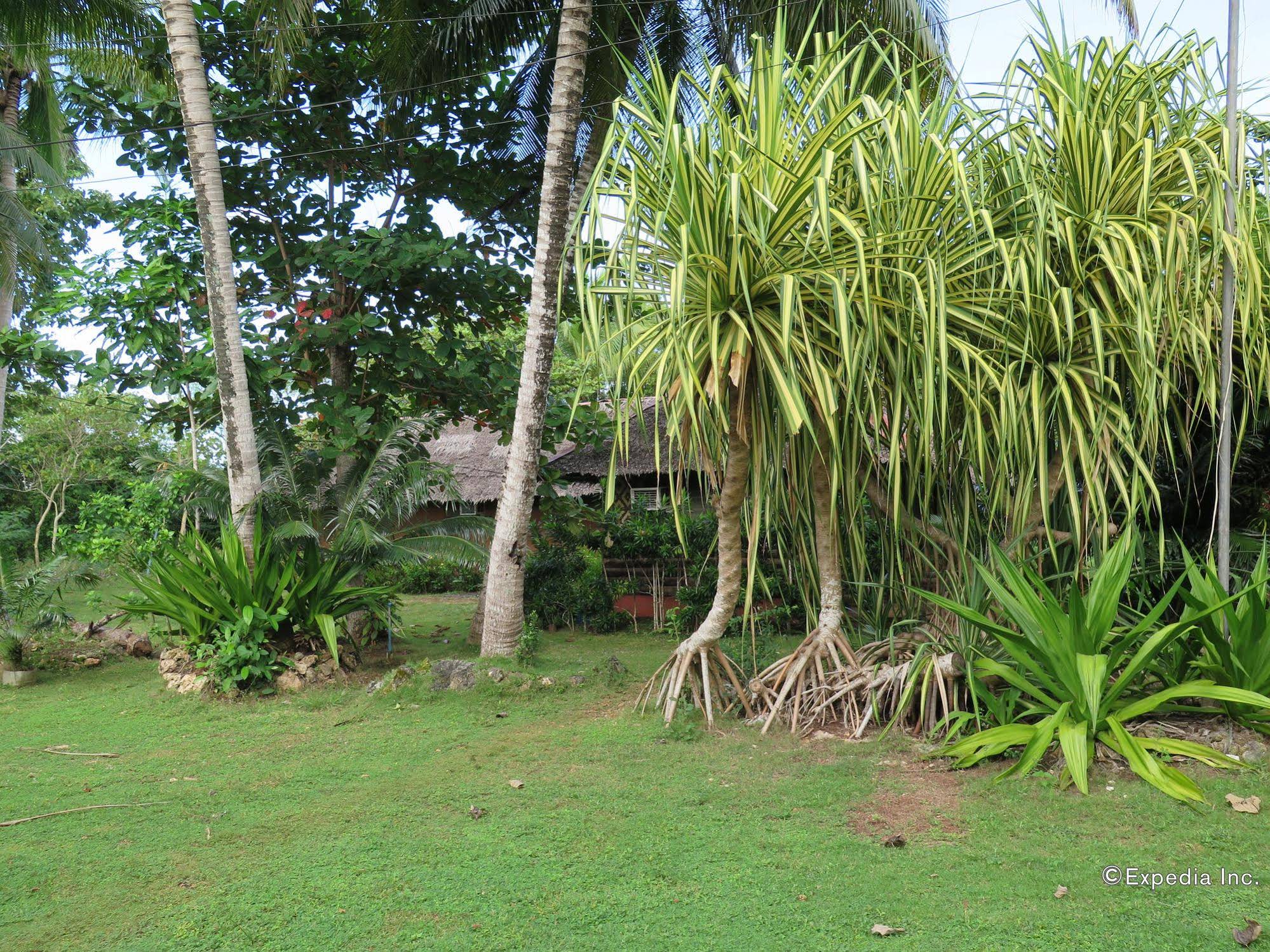 Casa Nova Garden