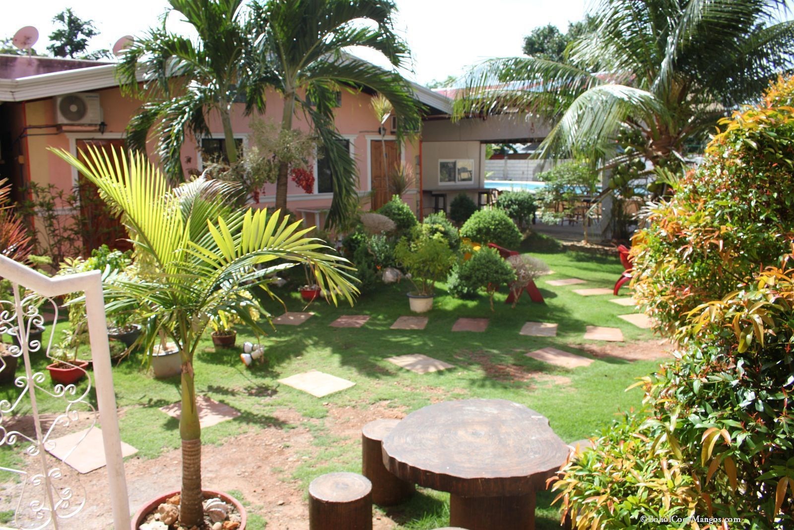 Coco Mango's Place