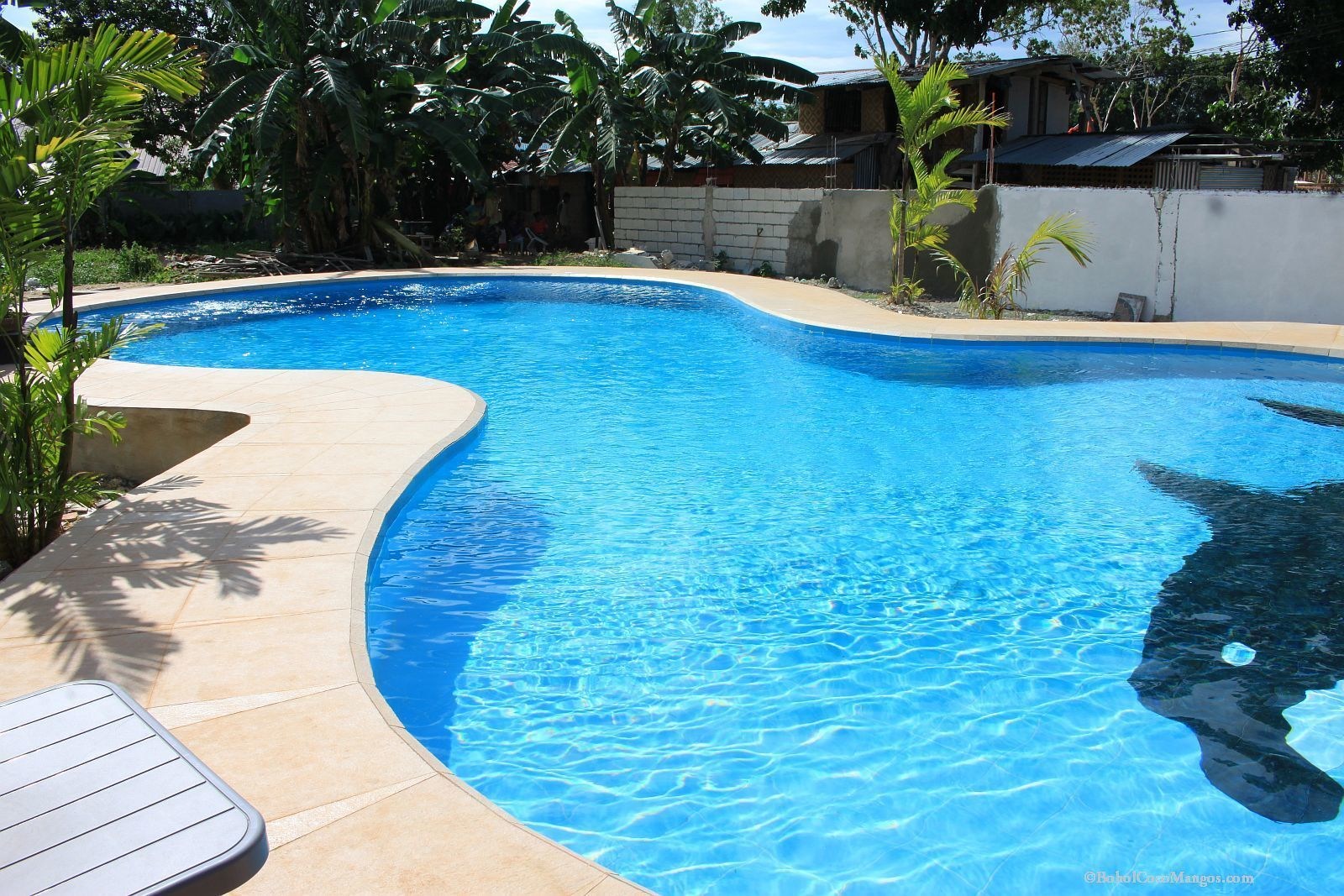 Coco Mango's Place