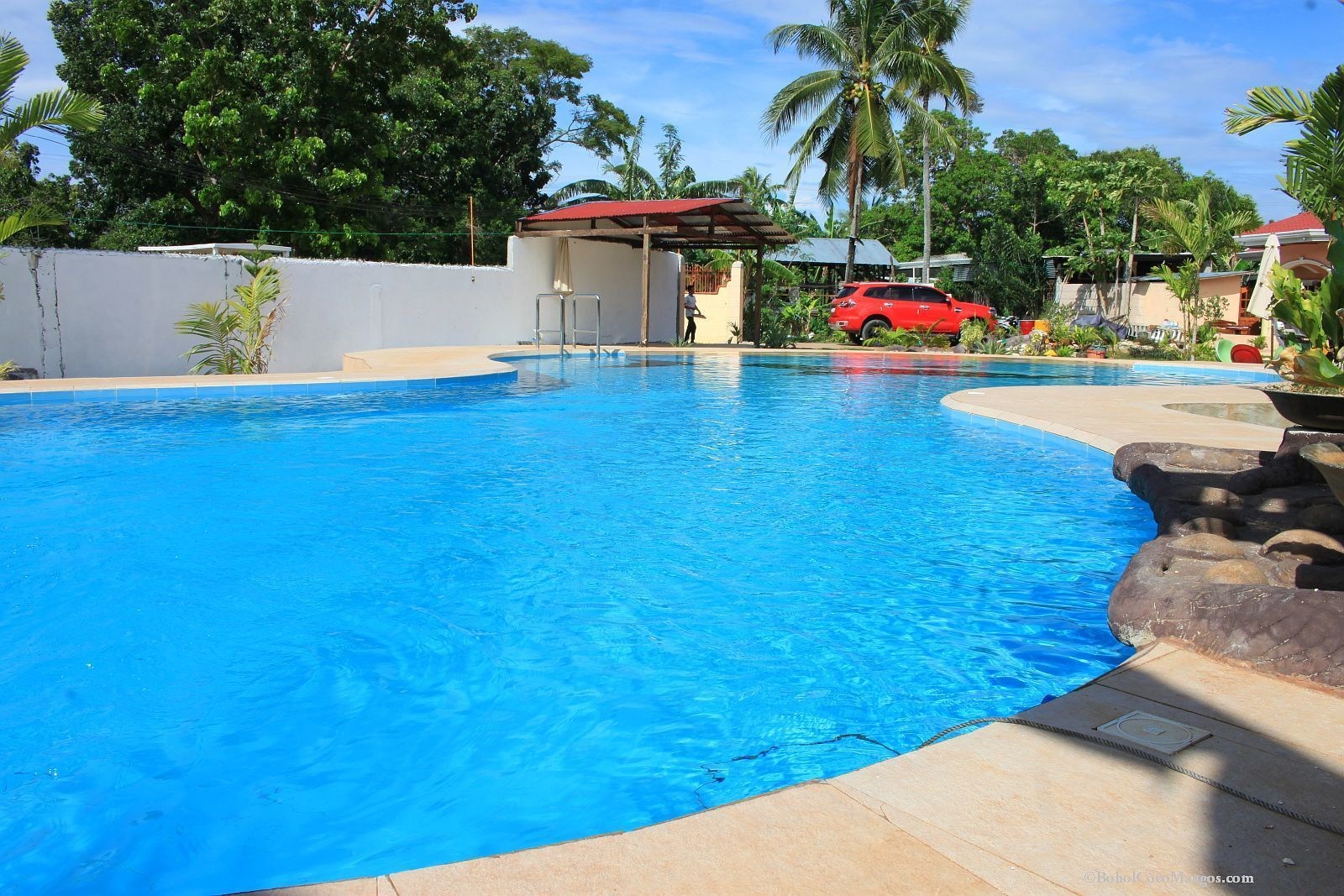Coco Mango's Place