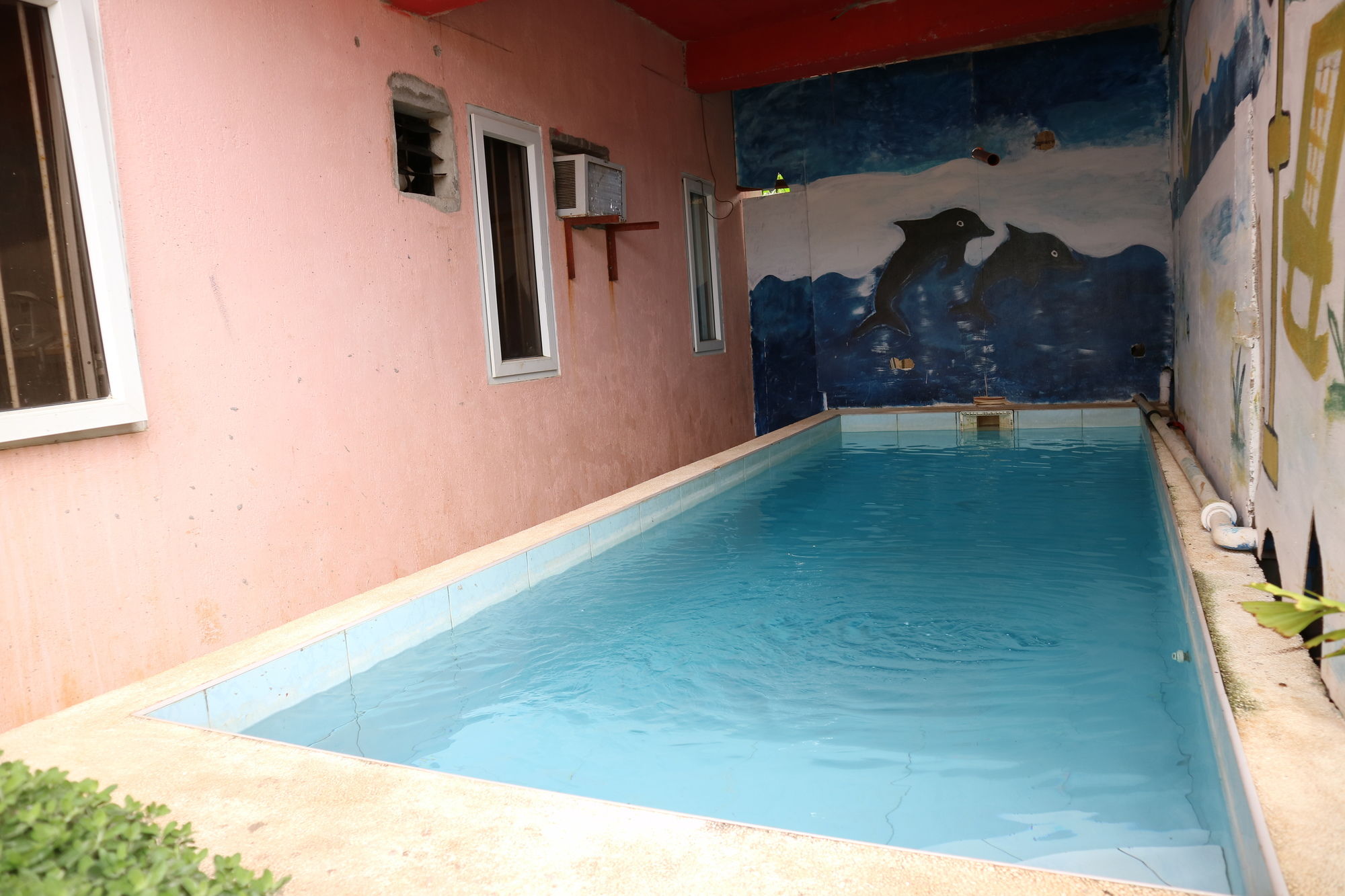 Coco Mango's Place