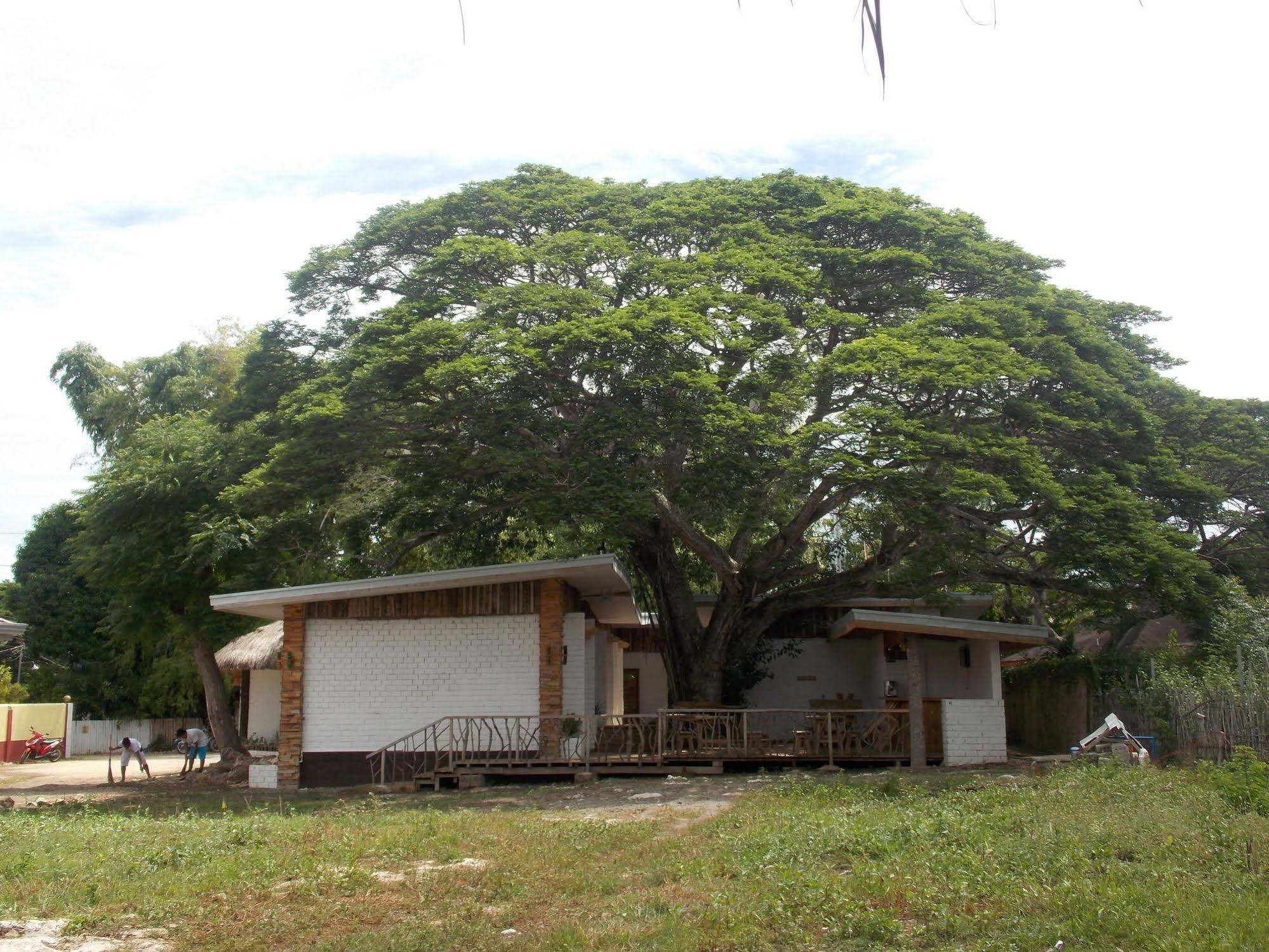 Dormitels Alona Beach Bohol
