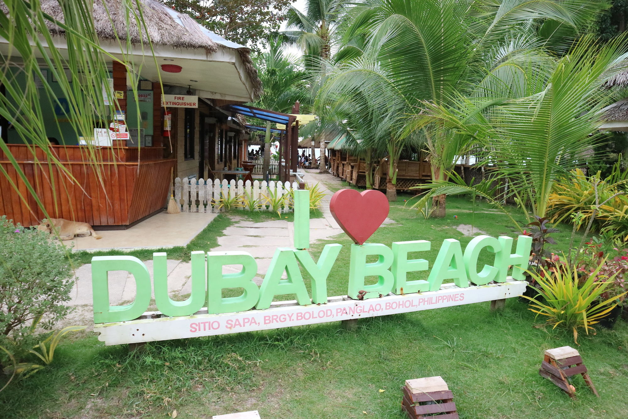 Dubay Panglao Beachfront Resort