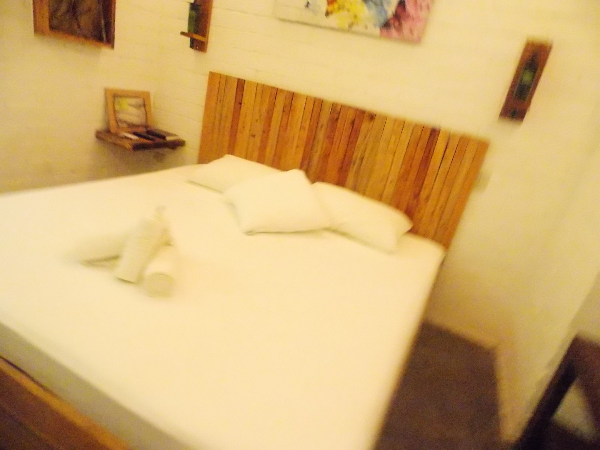 Eco Hotel Alona