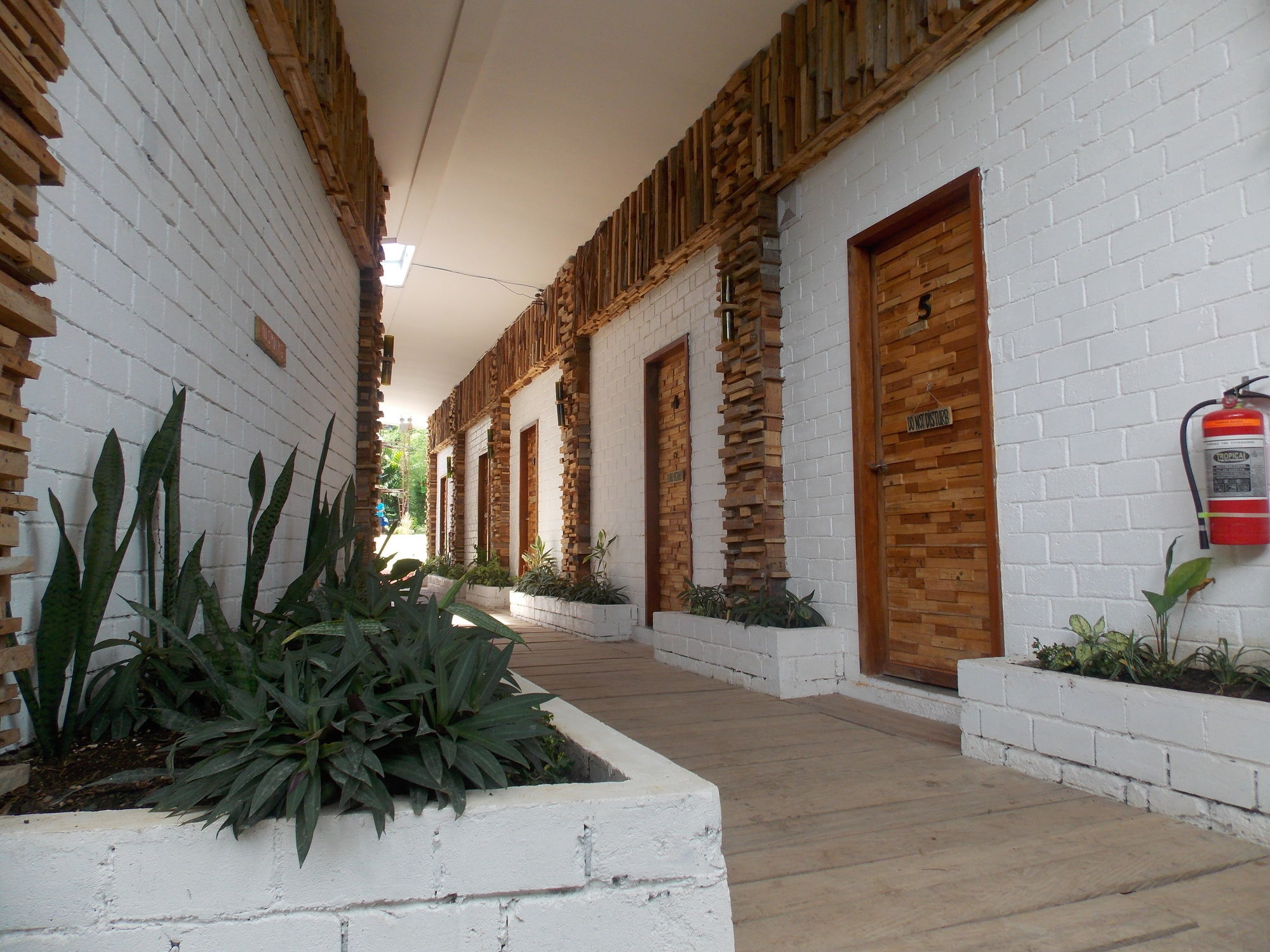 Eco Hotel Alona