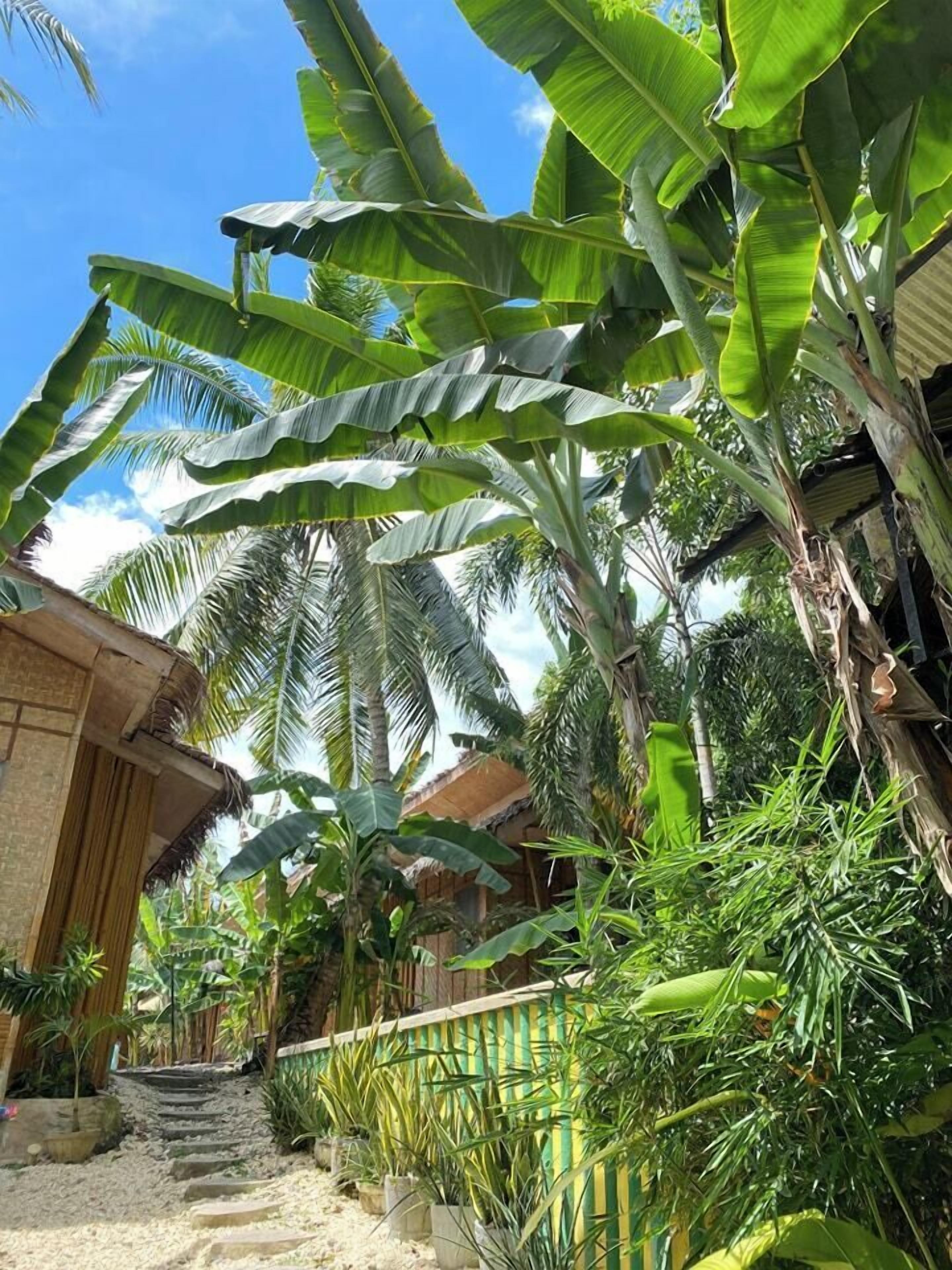 Ecostay Panglao Resort Hotel