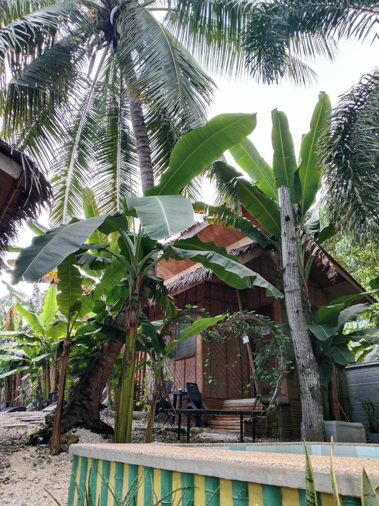 Ecostay Panglao Resort Hotel