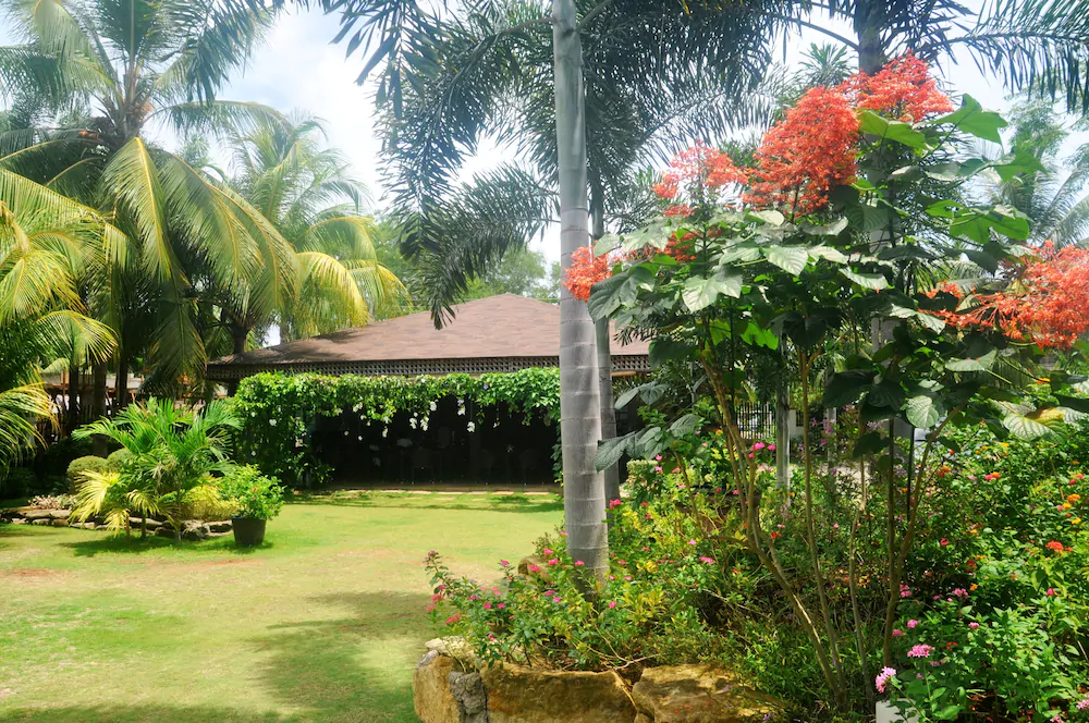 Golden Palm Resort
