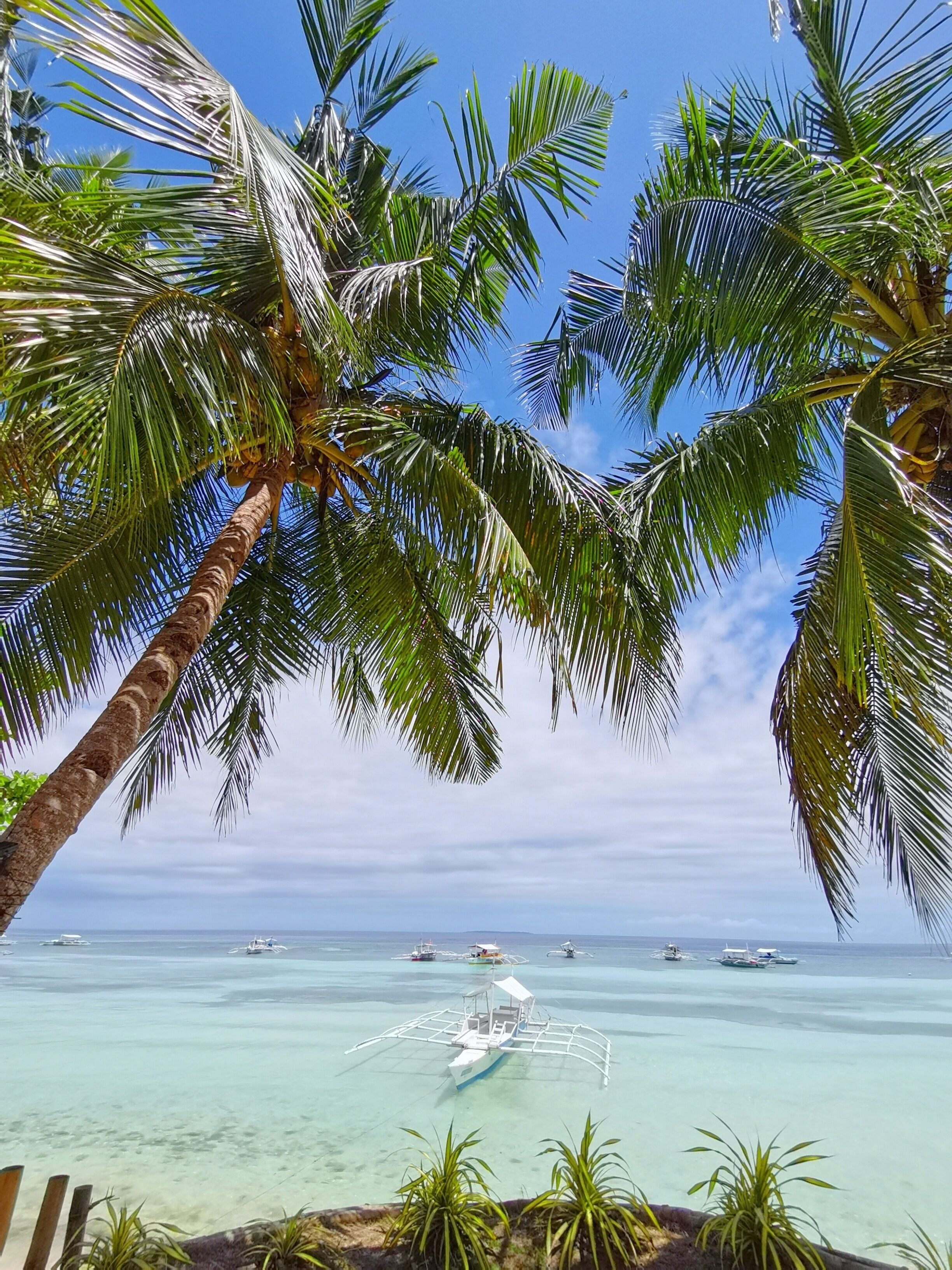 On Board Panglao Beach Hostel and Resort