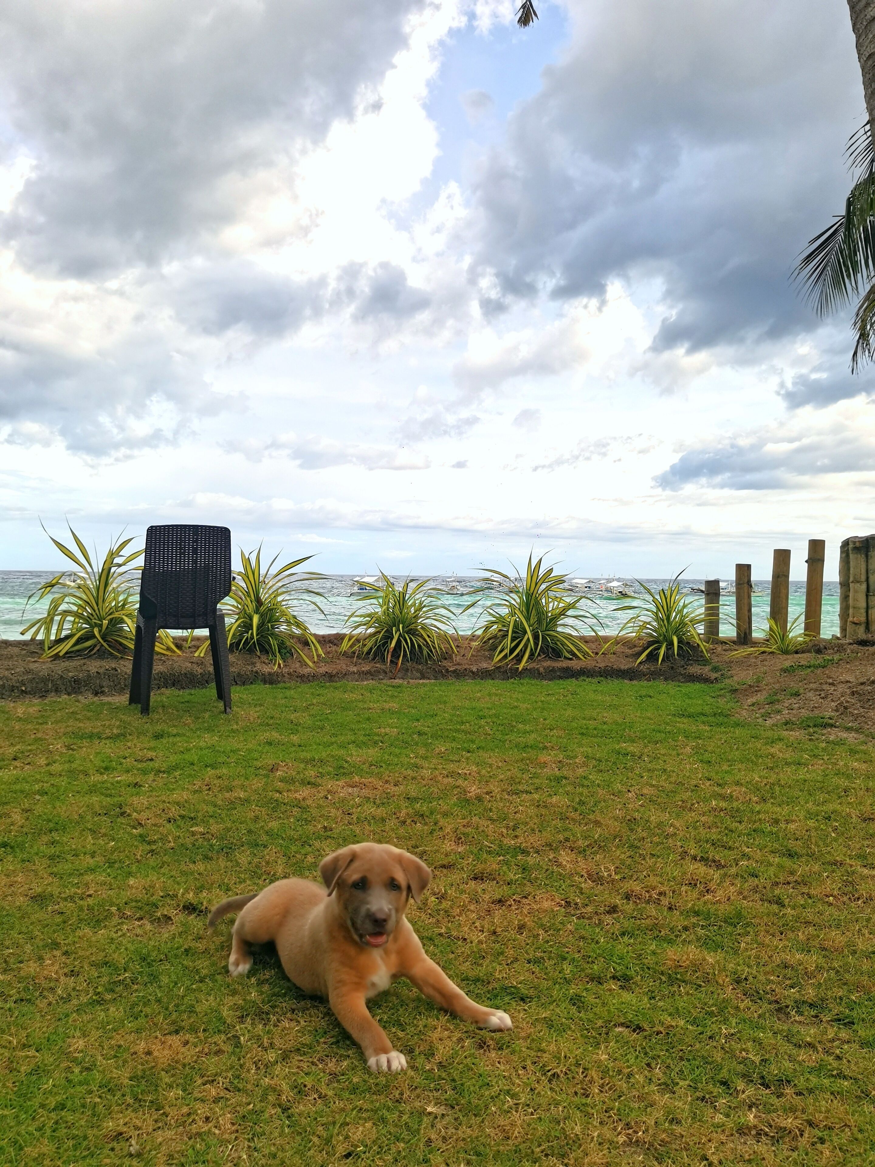 On Board Panglao Beach Hostel and Resort