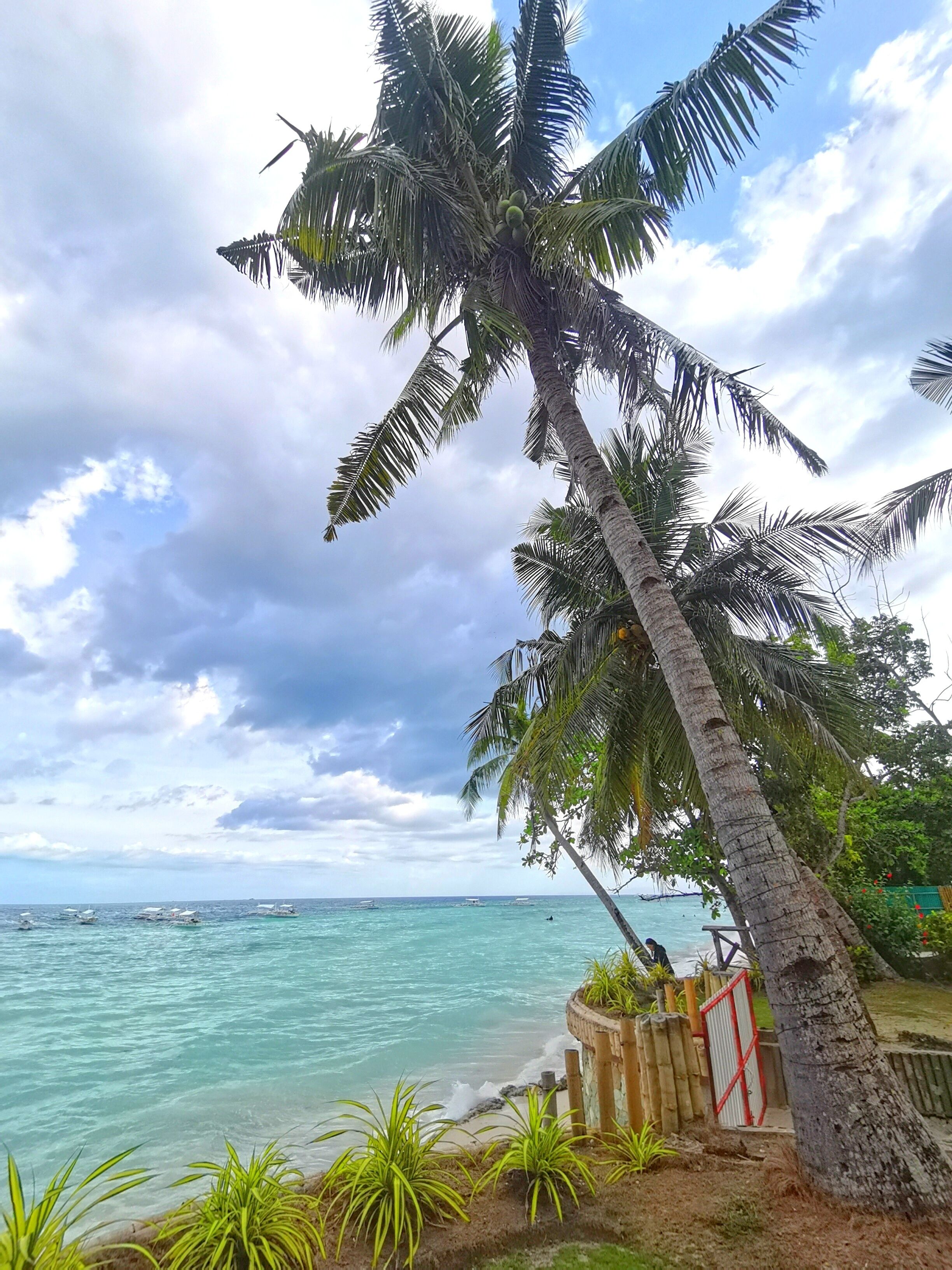 On Board Panglao Beach Hostel and Resort