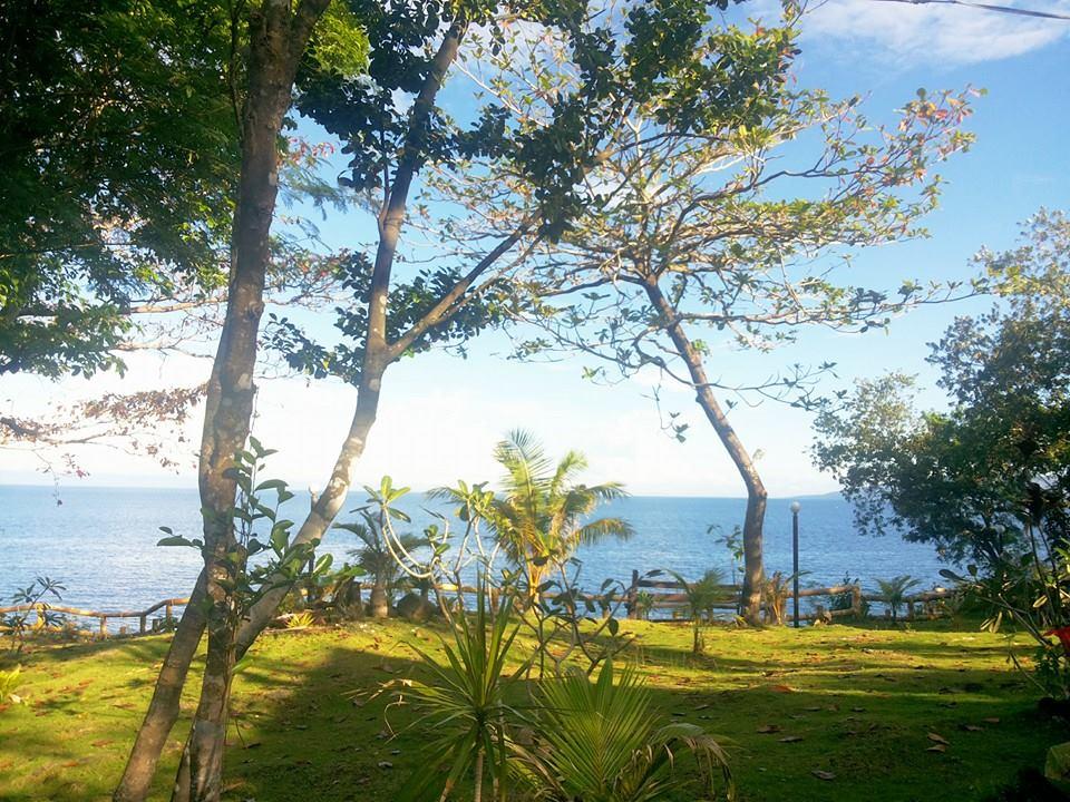Panglao Kalikasan Dive Resort