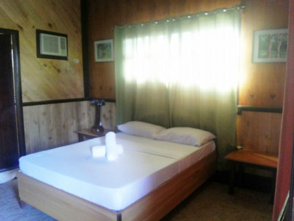 Panglao Kalikasan Dive Resort