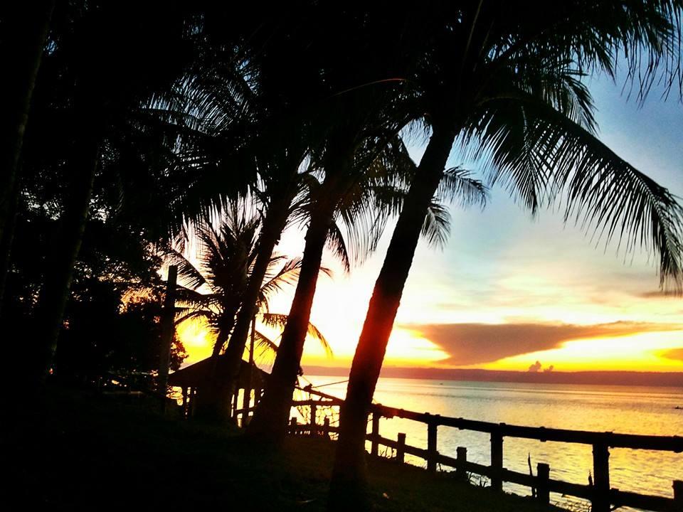 Panglao Kalikasan Dive Resort