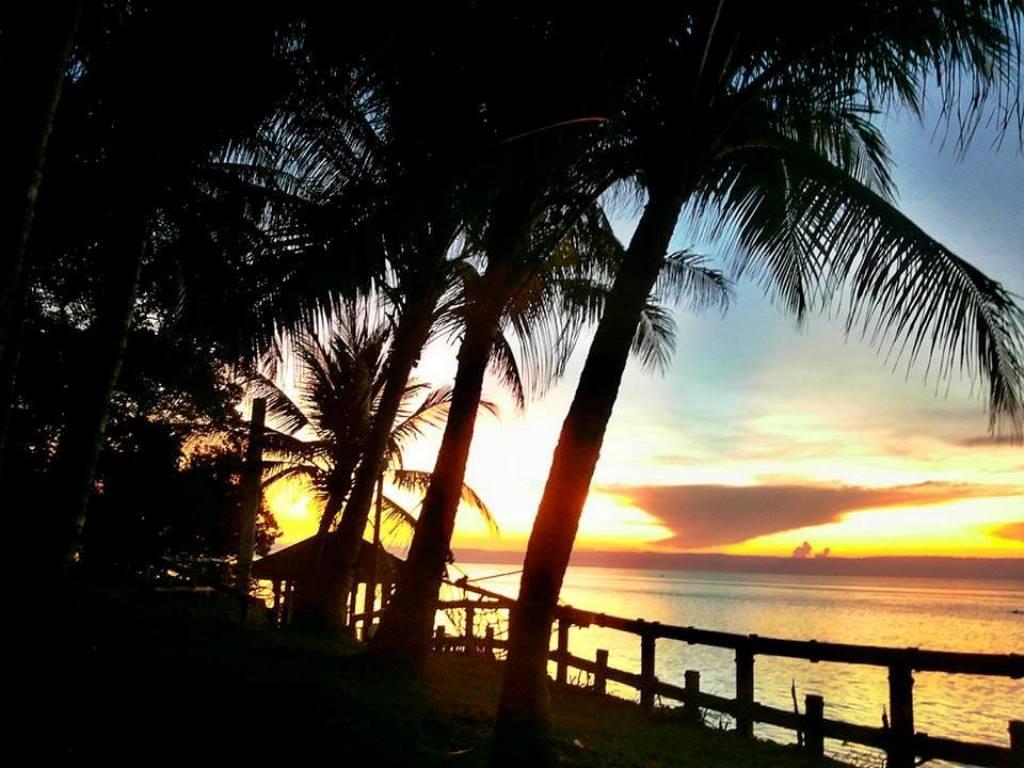 Panglao Kalikasan Dive Resort