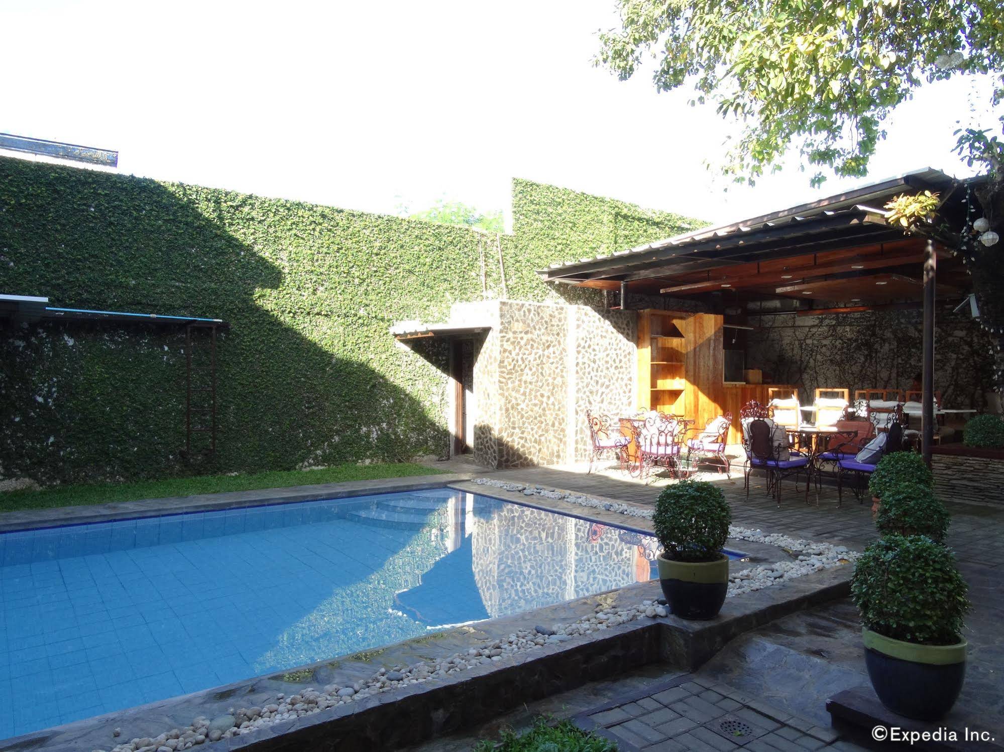 The Purple Tree Bed And Breakfast