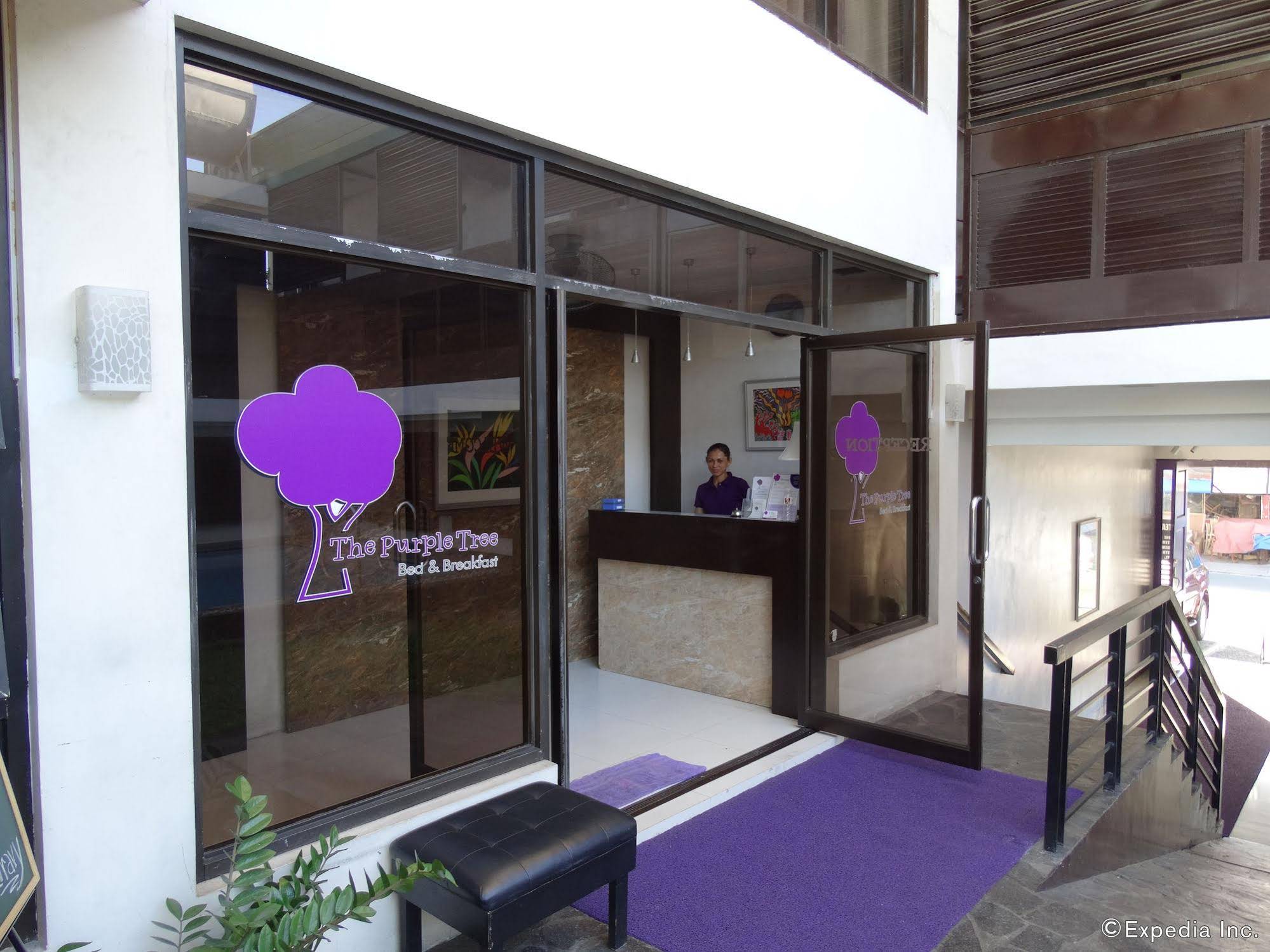 The Purple Tree Bed And Breakfast