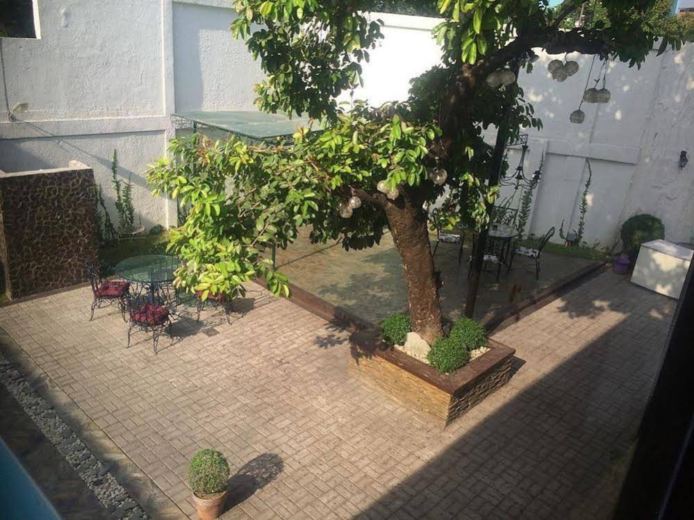 The Purple Tree Bed And Breakfast