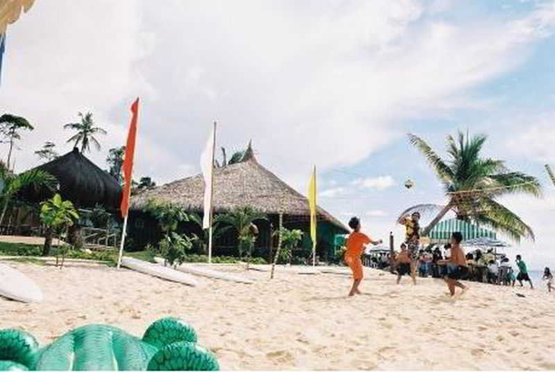 My Little Island Hotel