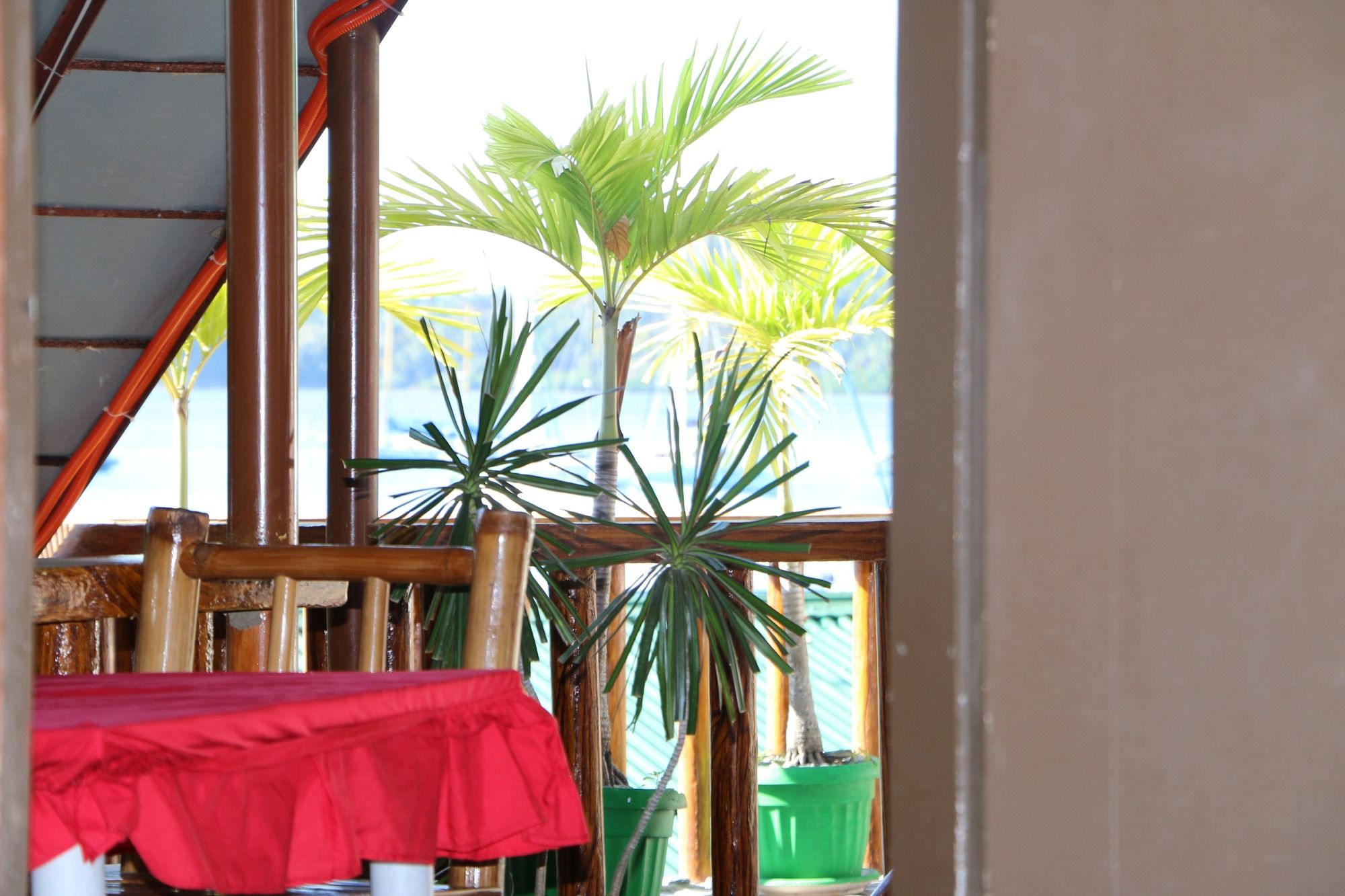 Badladz Beach and Dive Resort