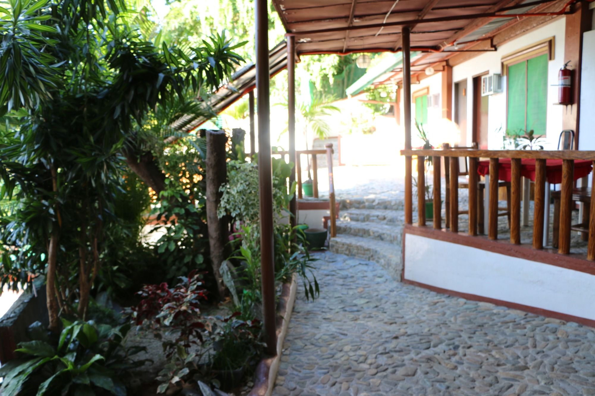 Badladz Beach and Dive Resort