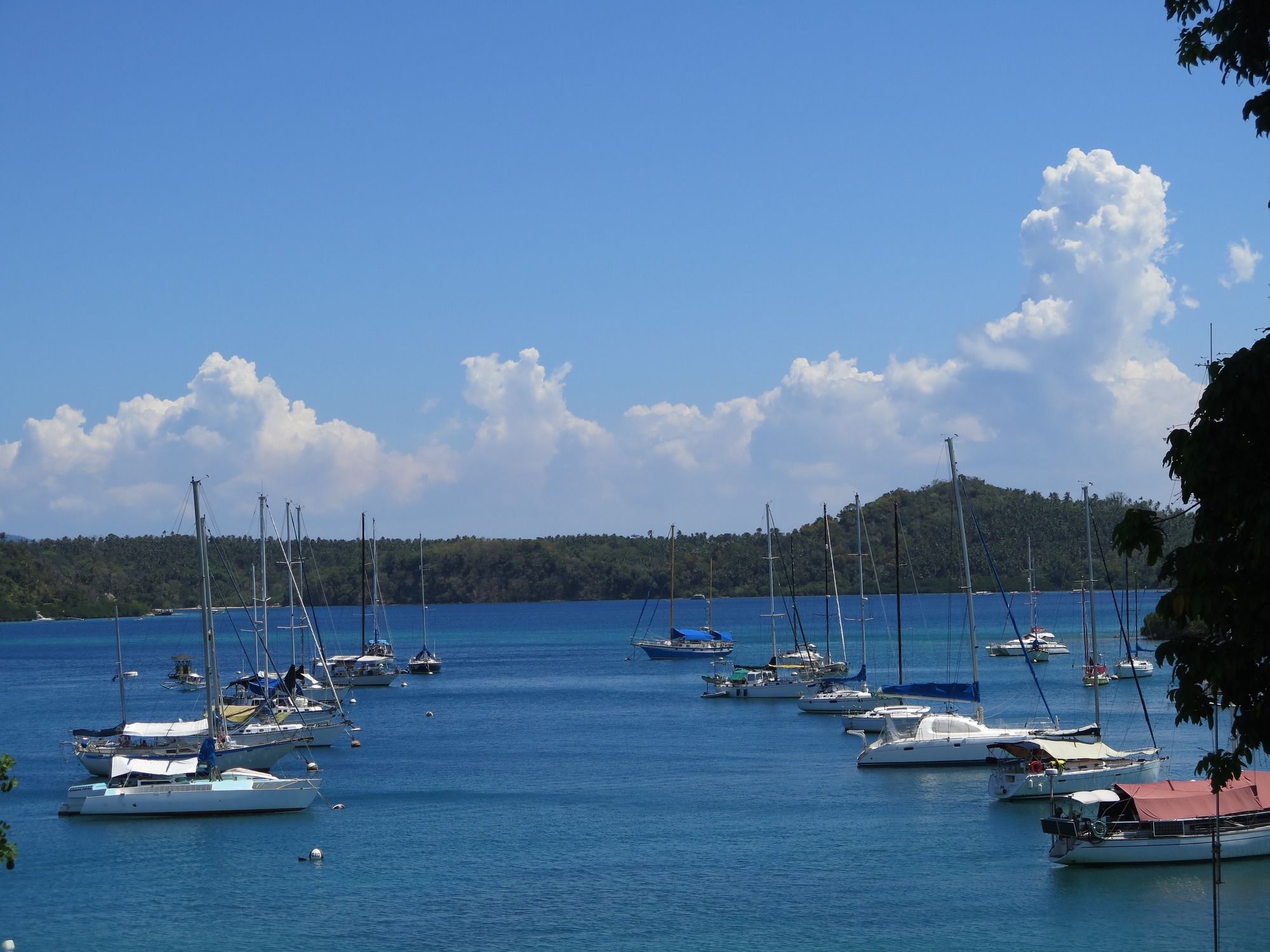 Badladz Beach and Dive Resort