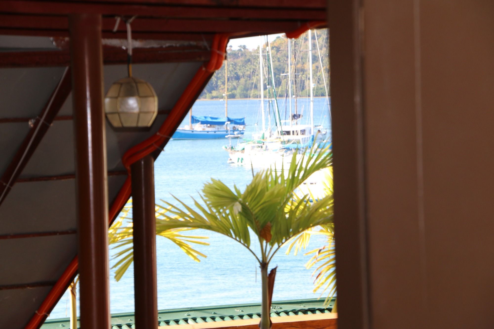 Badladz Beach and Dive Resort