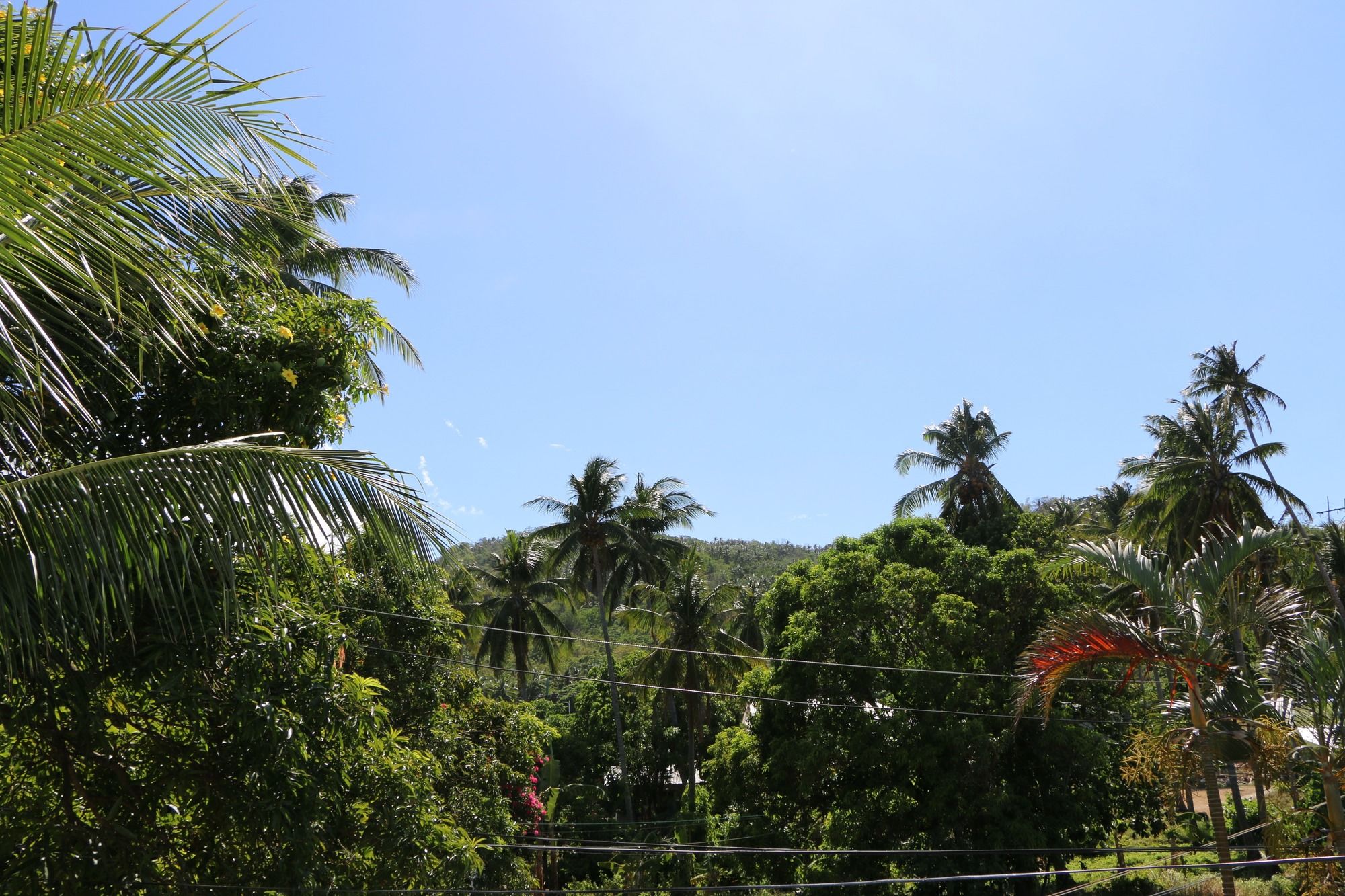 Badladz Beach Resort