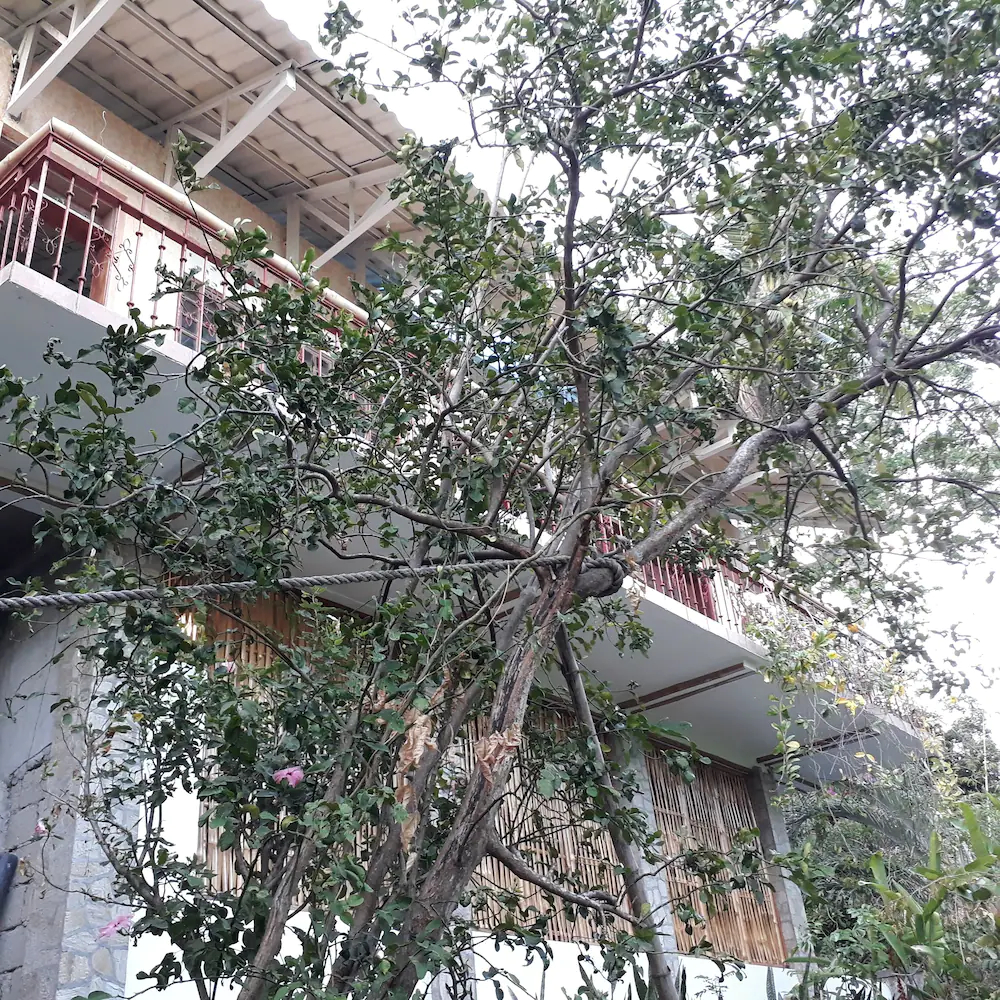 Bahay Isla Sanctuario