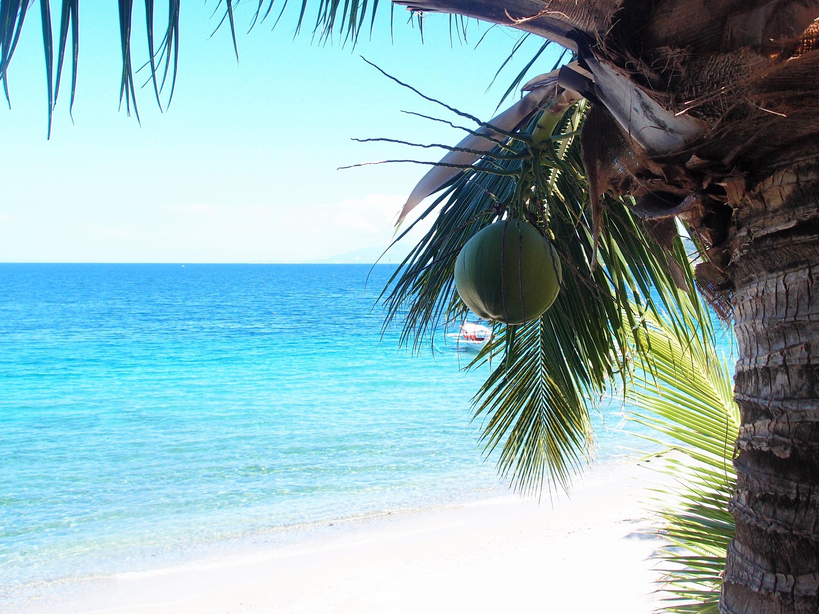 Bamboo House Beach Lodge & Restaurant