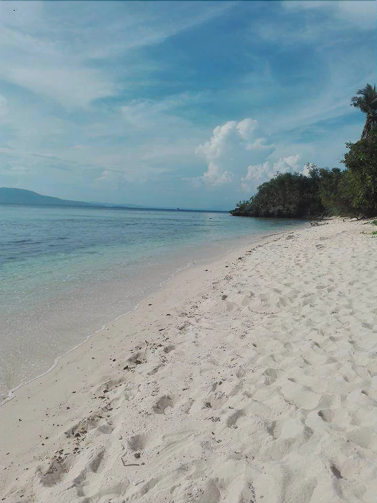 Buena Lynne's Resort