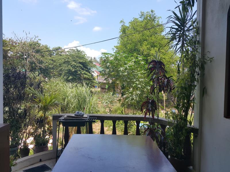 Felina Guest House