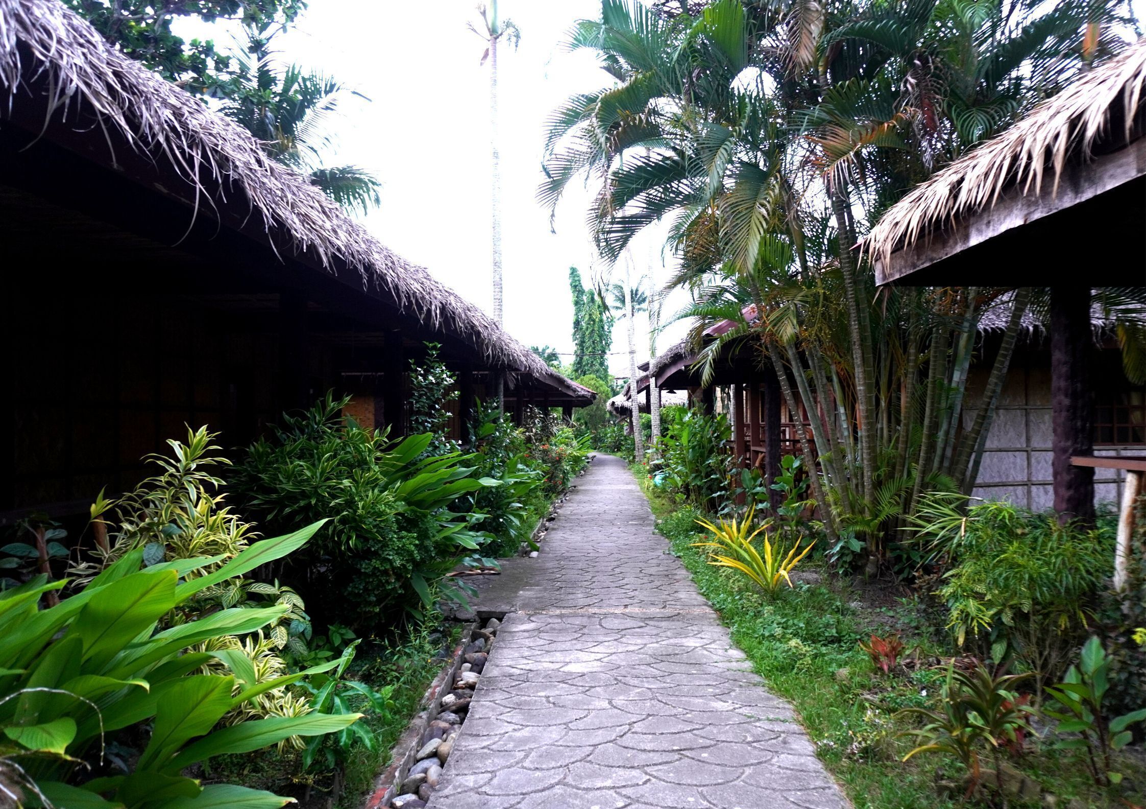 Garden of Eden Dive Resort
