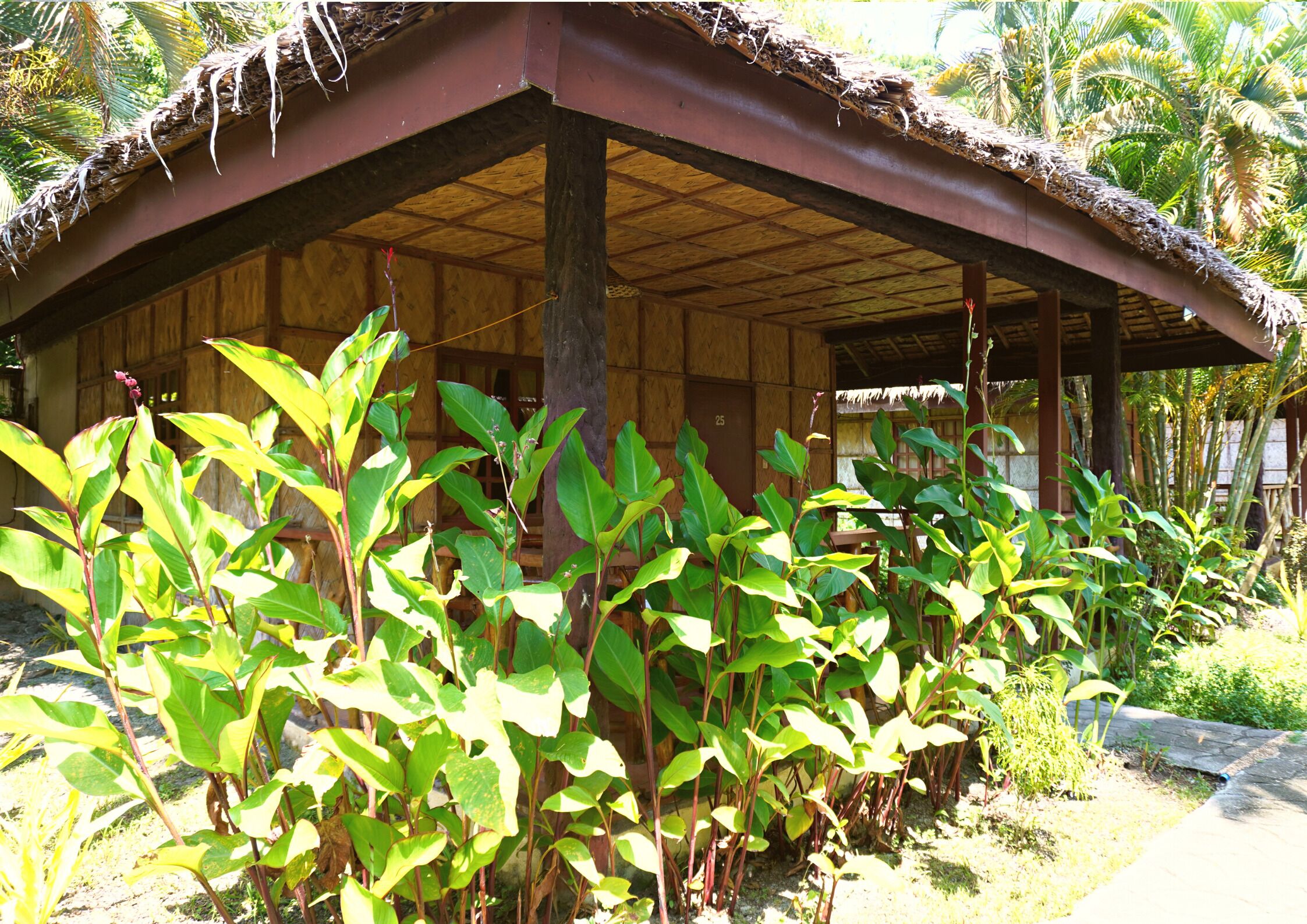 Garden of Eden Dive Resort