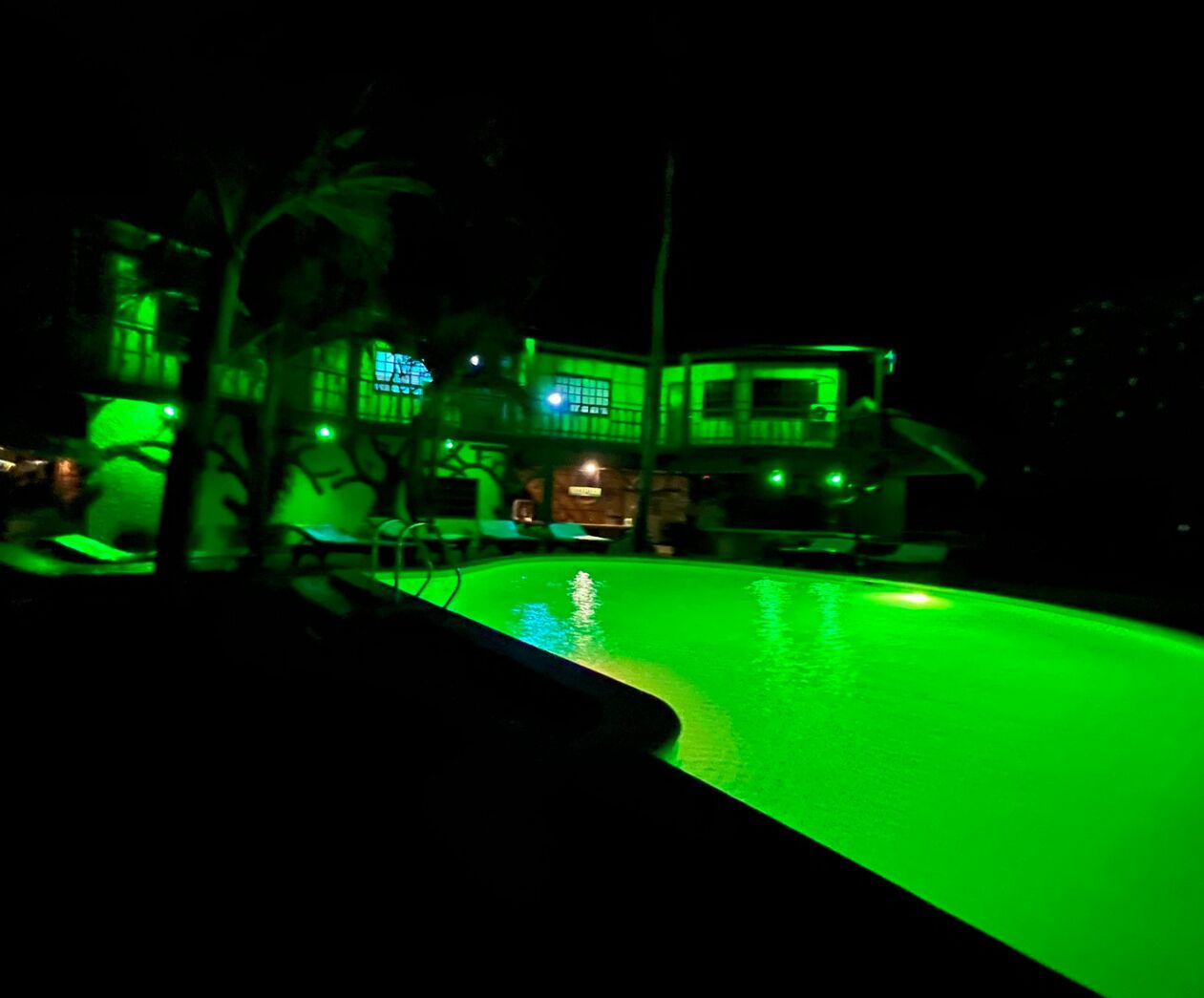 Garden of Eden Dive Resort