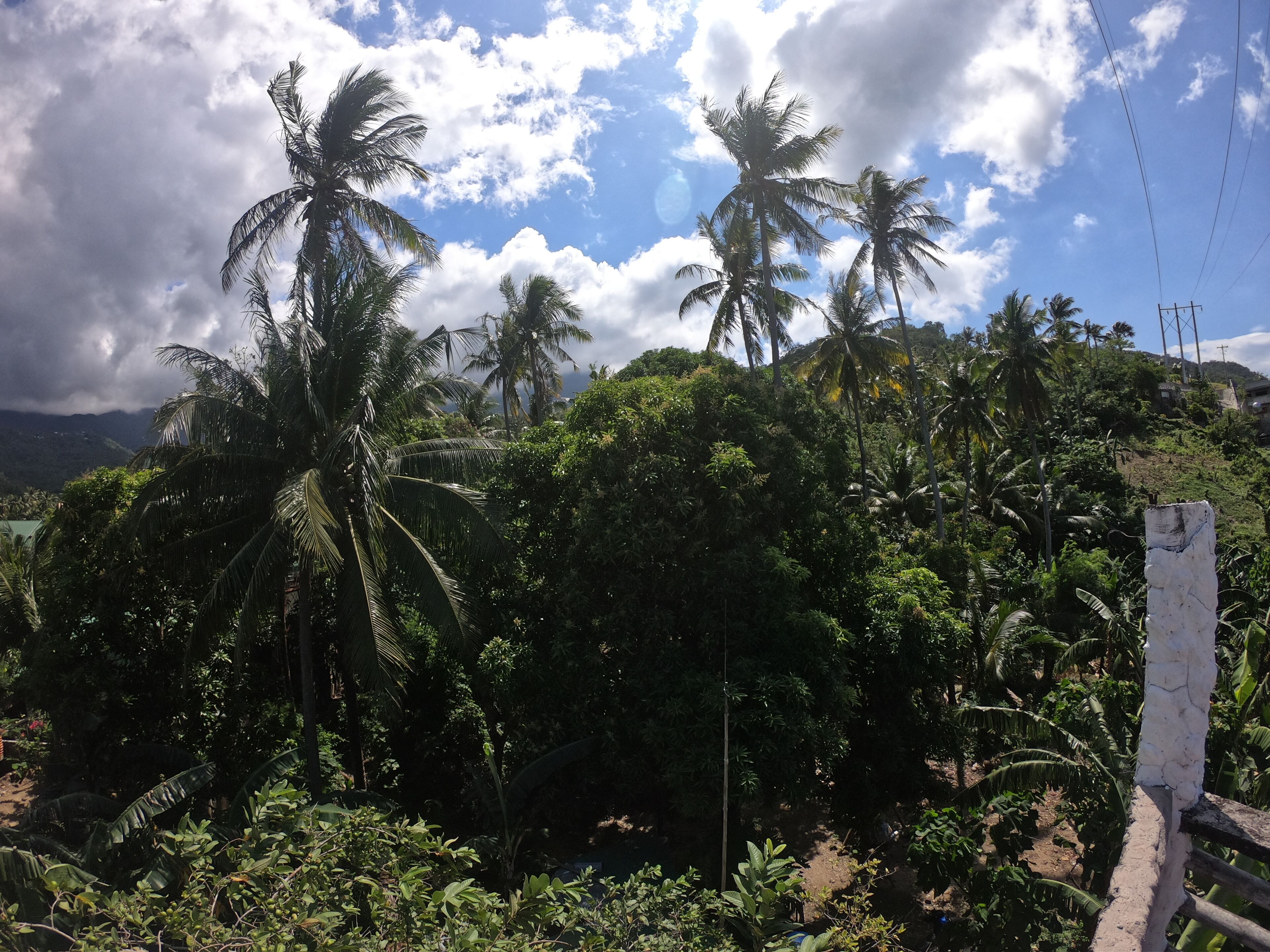 Puerto Galera Boutique Resort