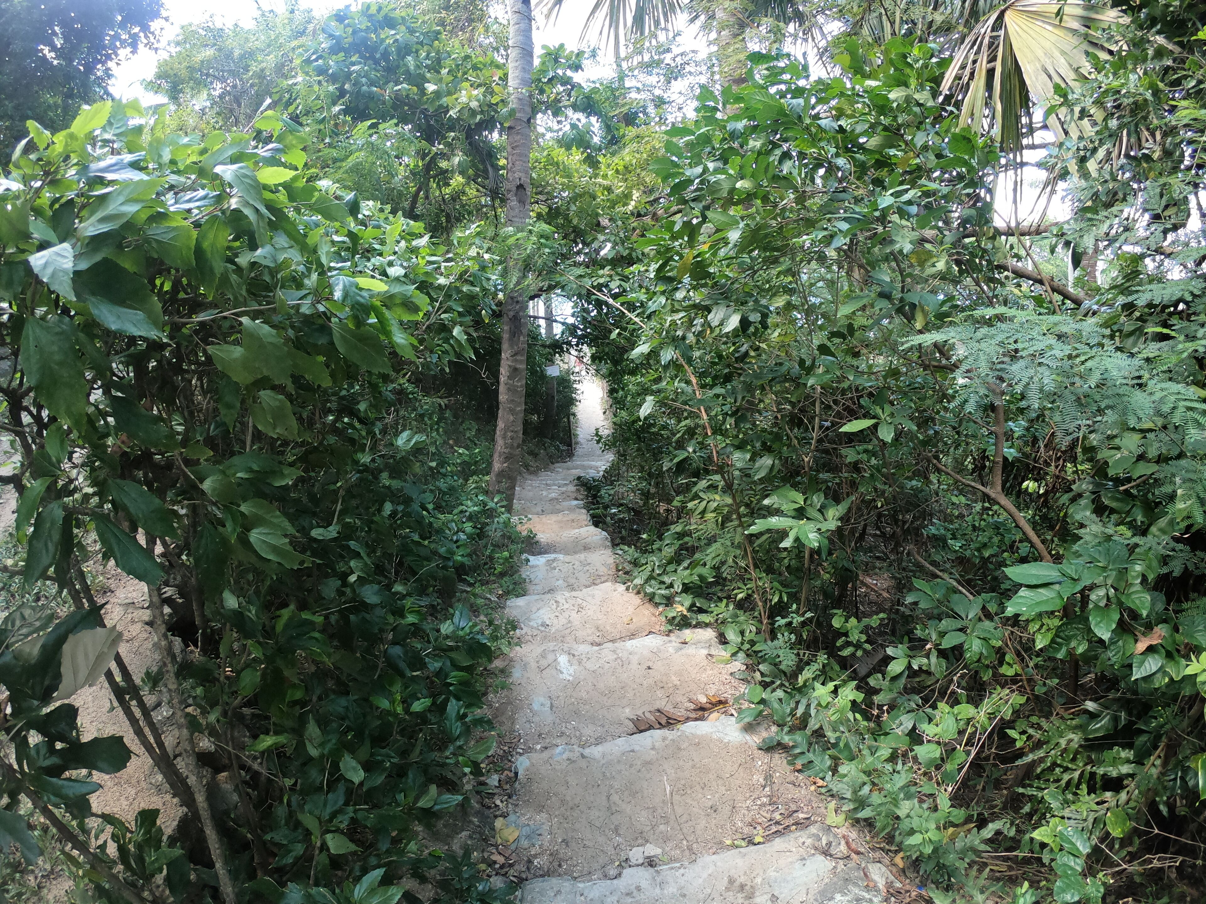 Puerto Galera Boutique Resort