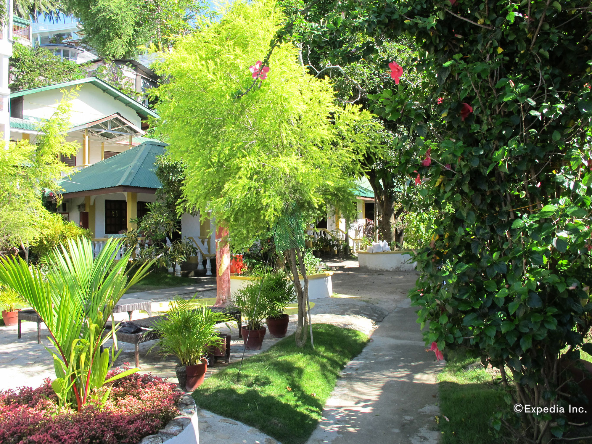 Seashore Beach Resort Bar & Restaurant