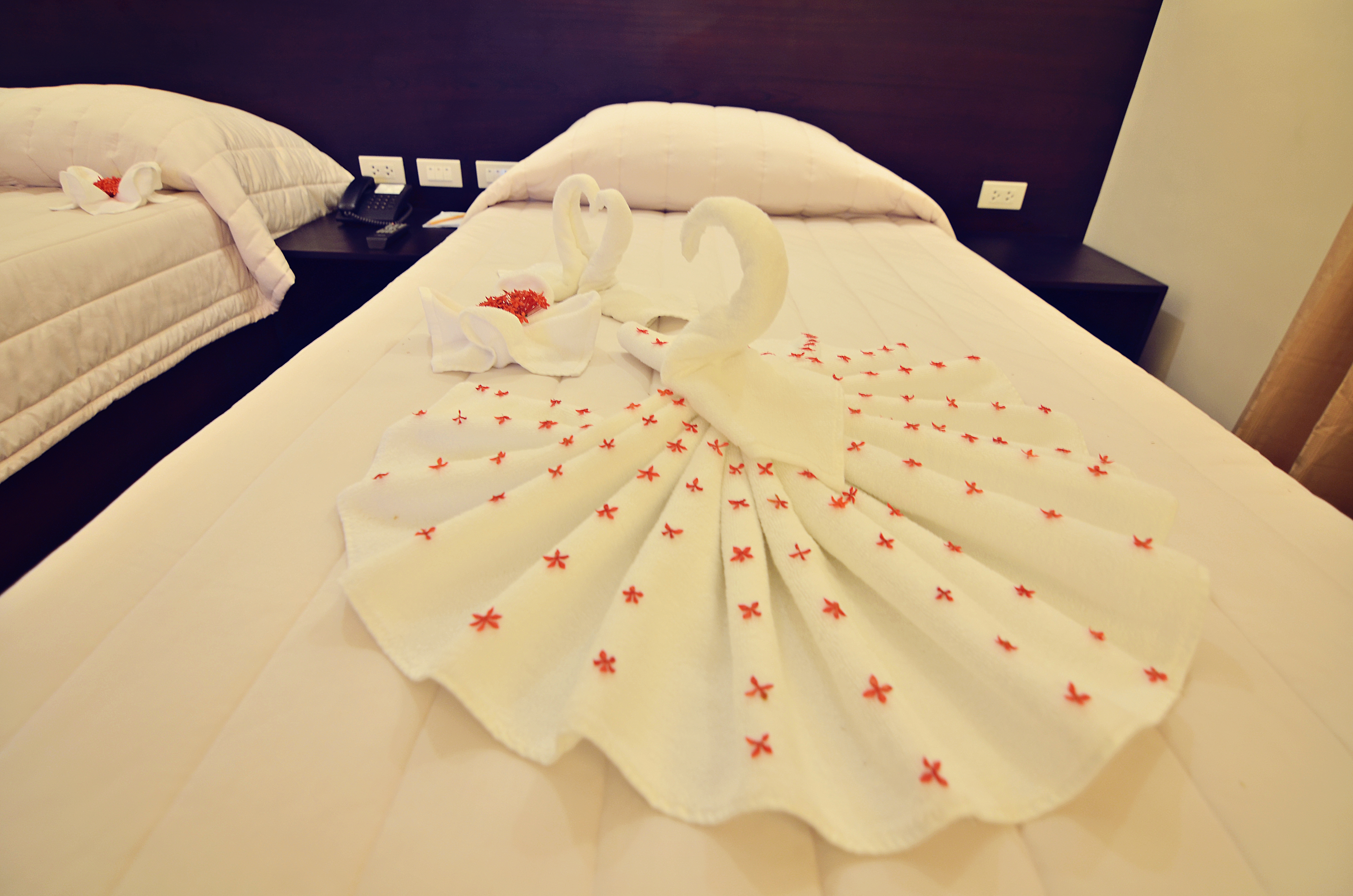 Citystate Asturias Hotel Palawan