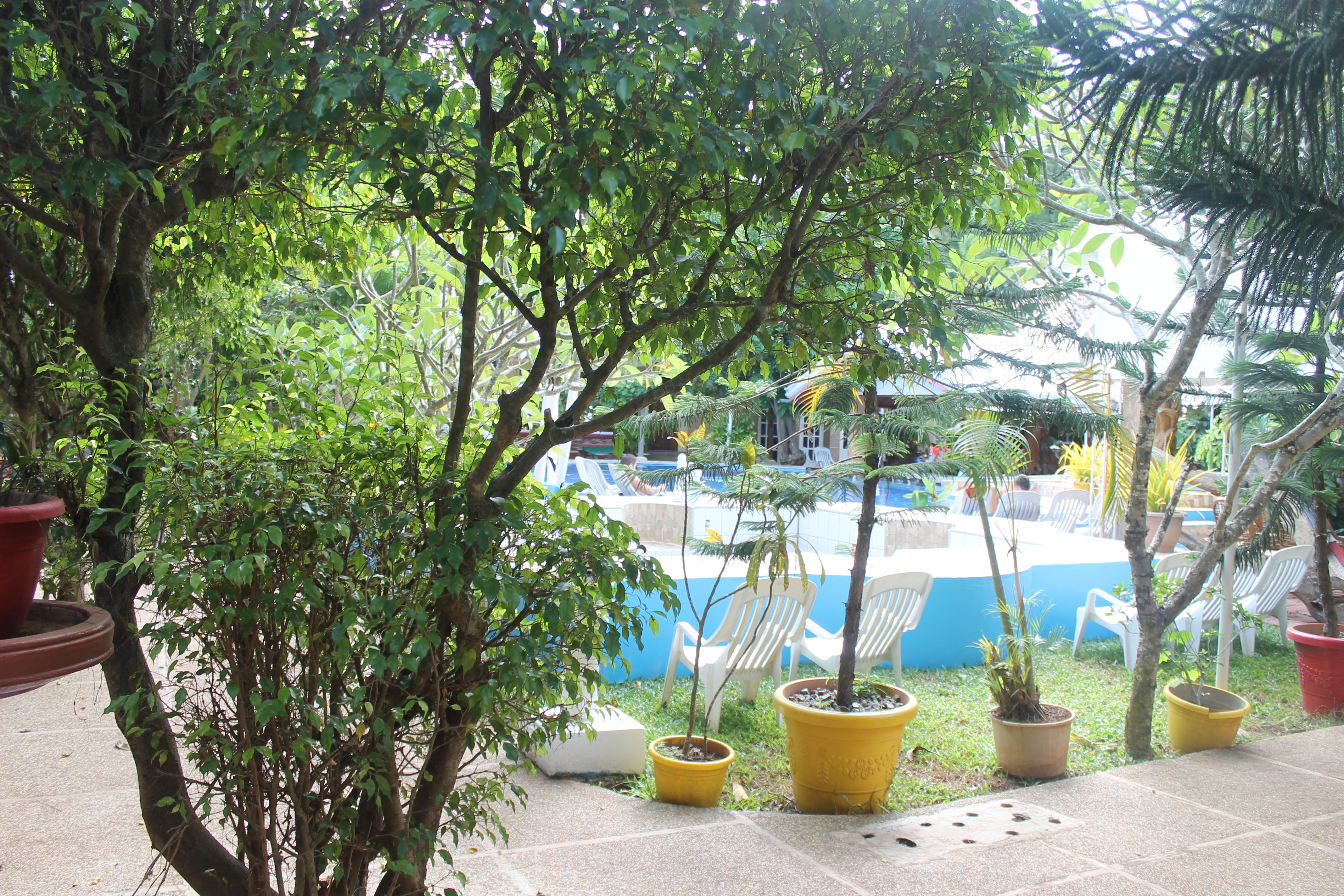 Deep Forest Garden Hotel