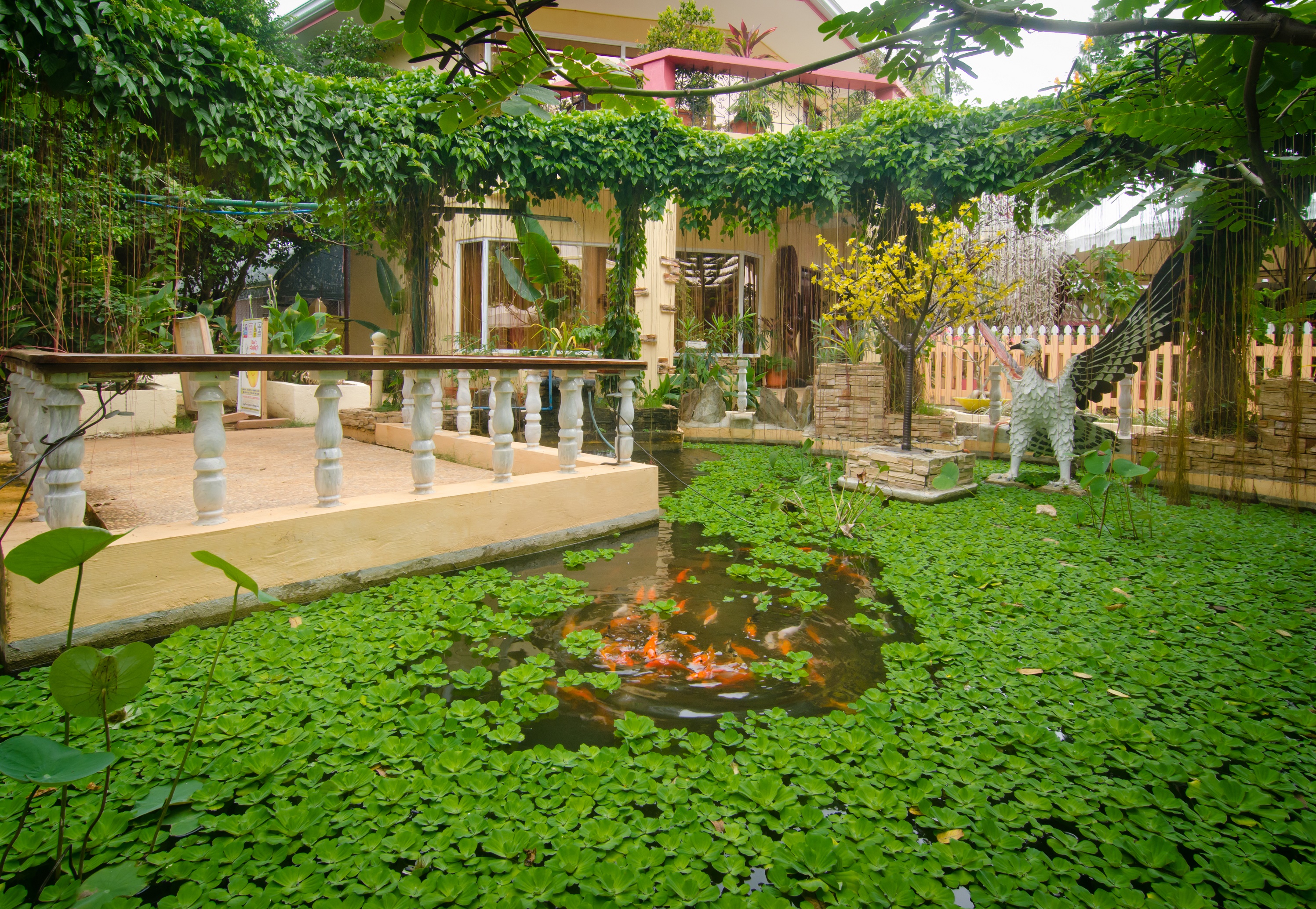 Deep Forest Garden Hotel