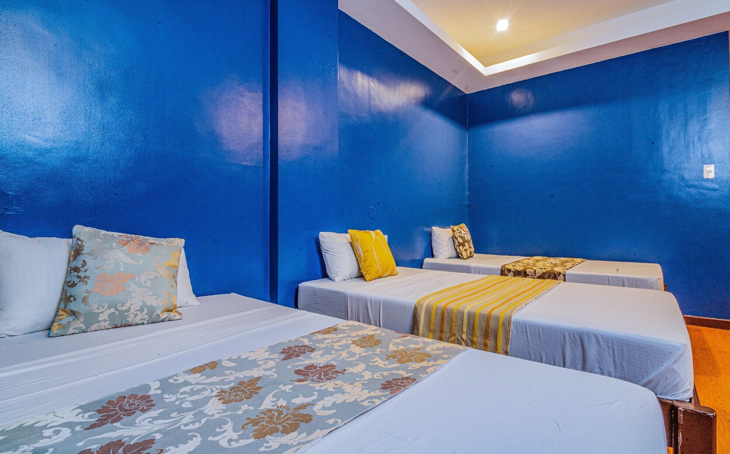 Hotel Palacio