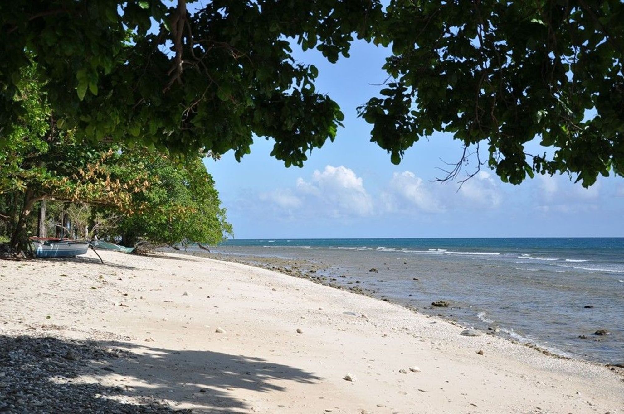 Jungle Beach Resort