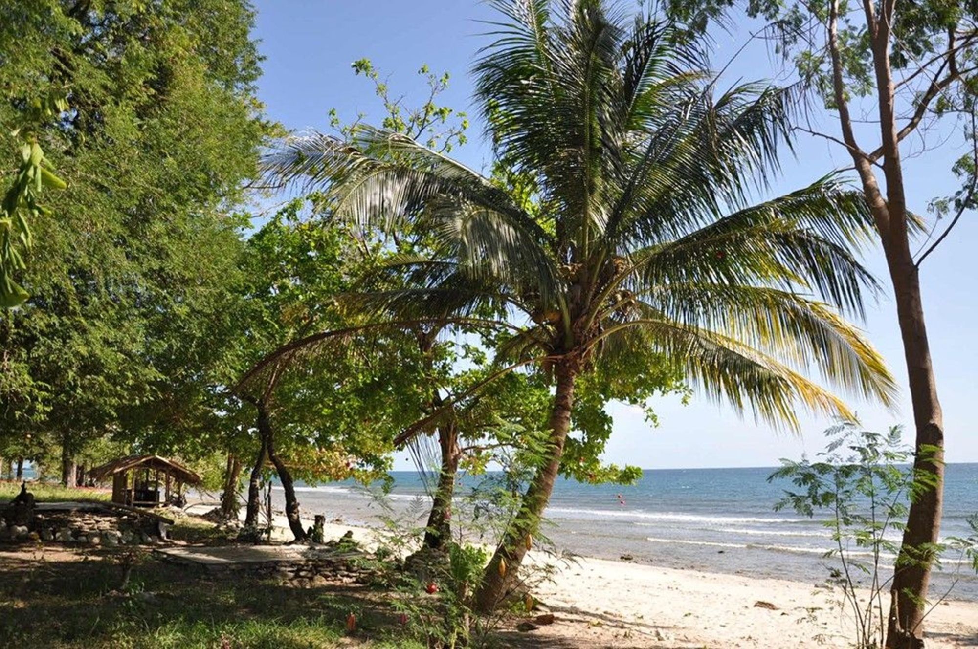 Jungle Beach Resort